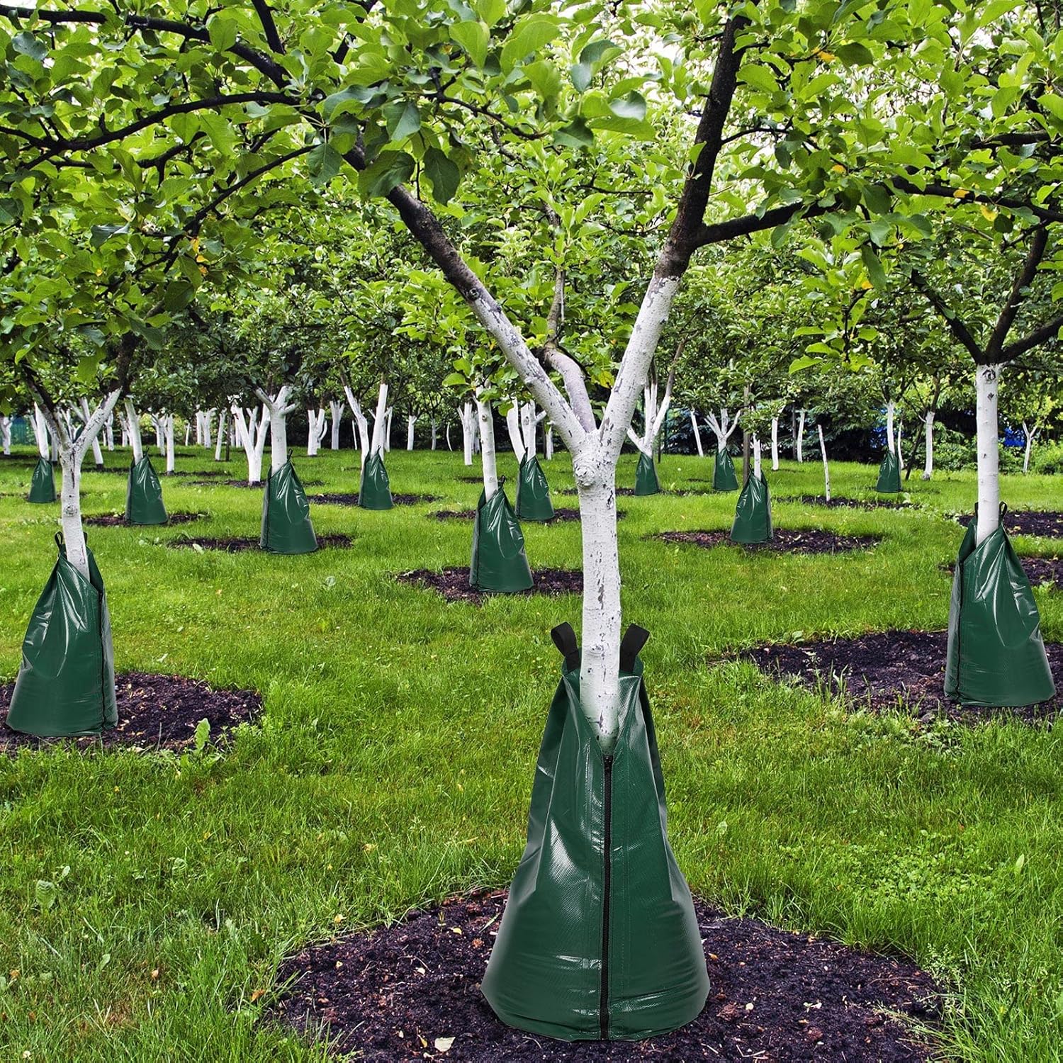 Tree Watering Bag