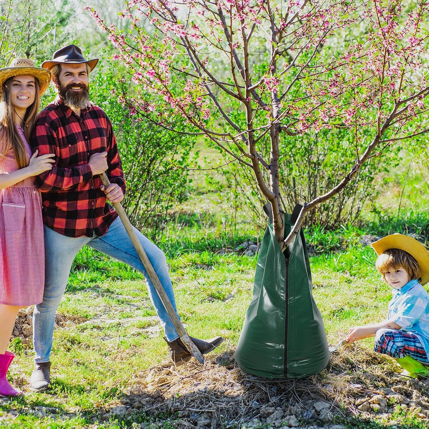 Blooming Peach Tree