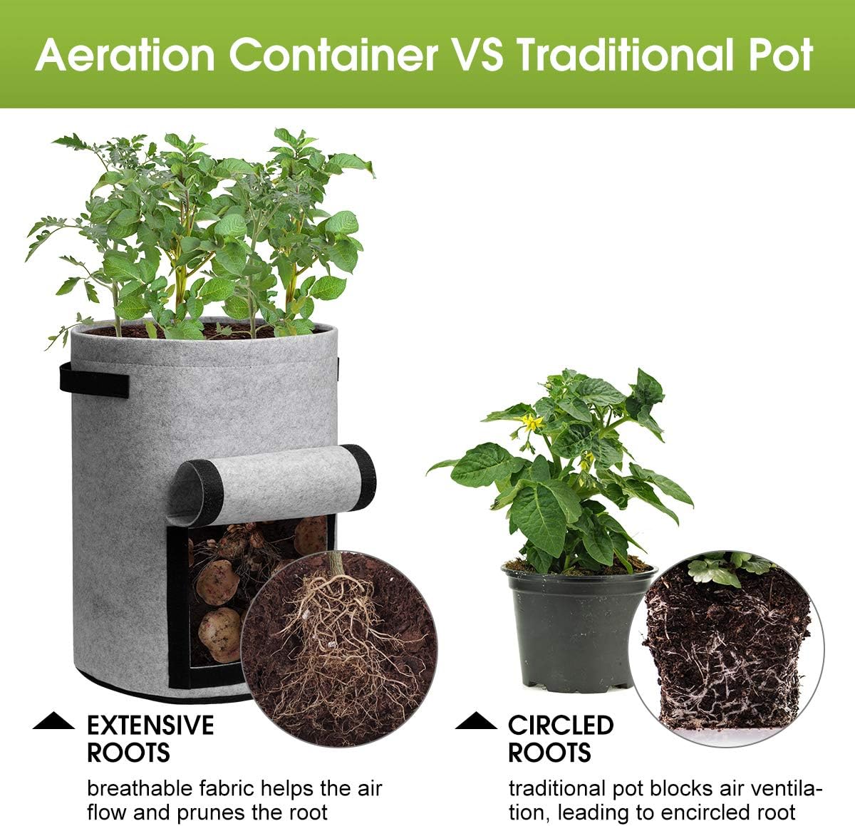 Aeration Container for Plants