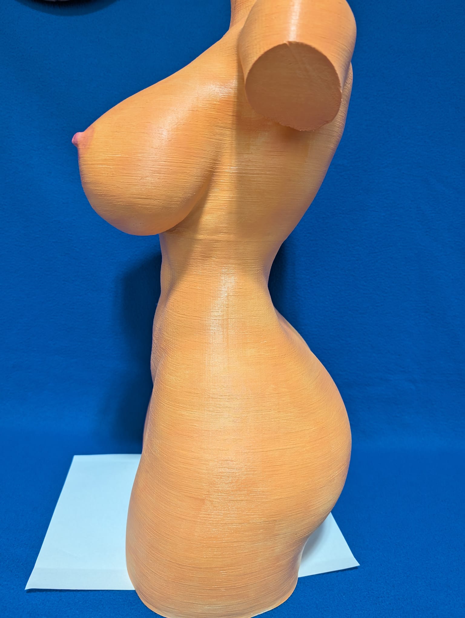 diseño de busto desnudo