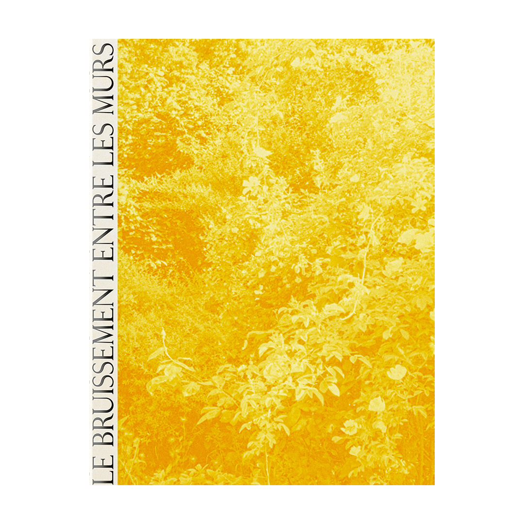 Clara Chichin et Sabatina Leccia, Le bruissement entre les murs 