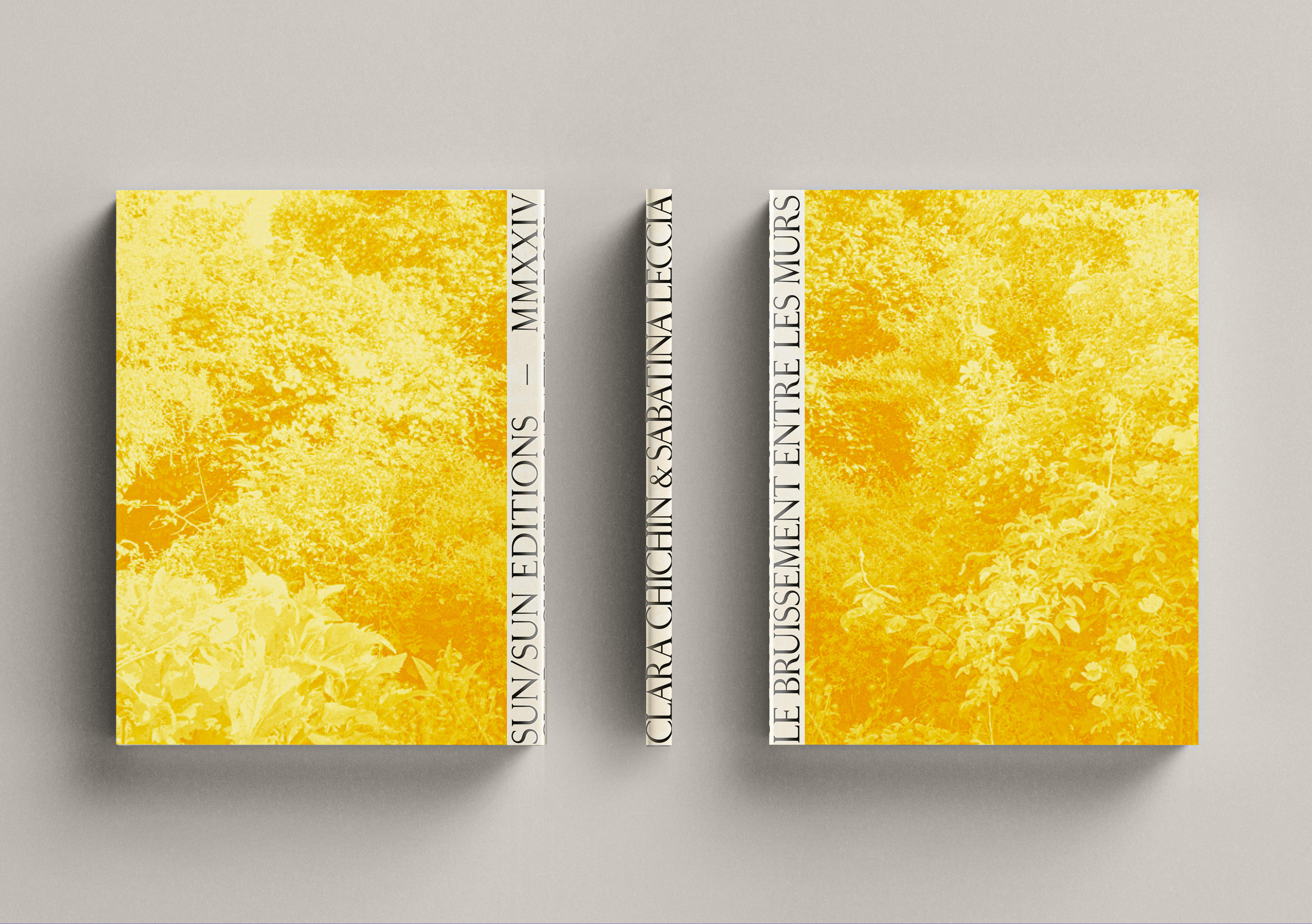 Clara Chichin et Sabatina Leccia, Le bruissement entre les murs 