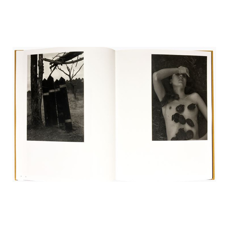 Charlotte Mano, Thank You Mum