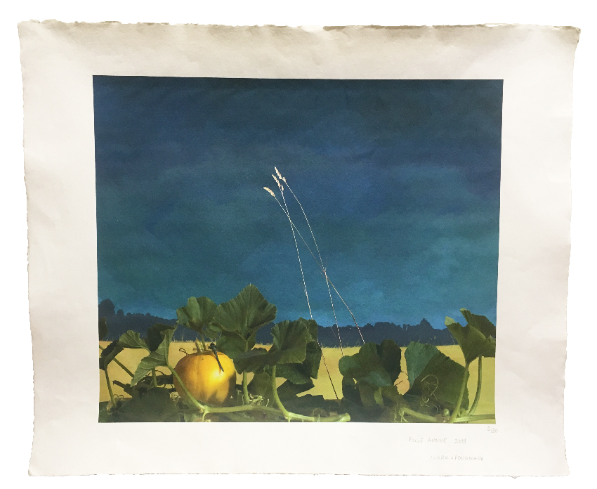 Clark et Pougnaud, Folle avoine, Eden