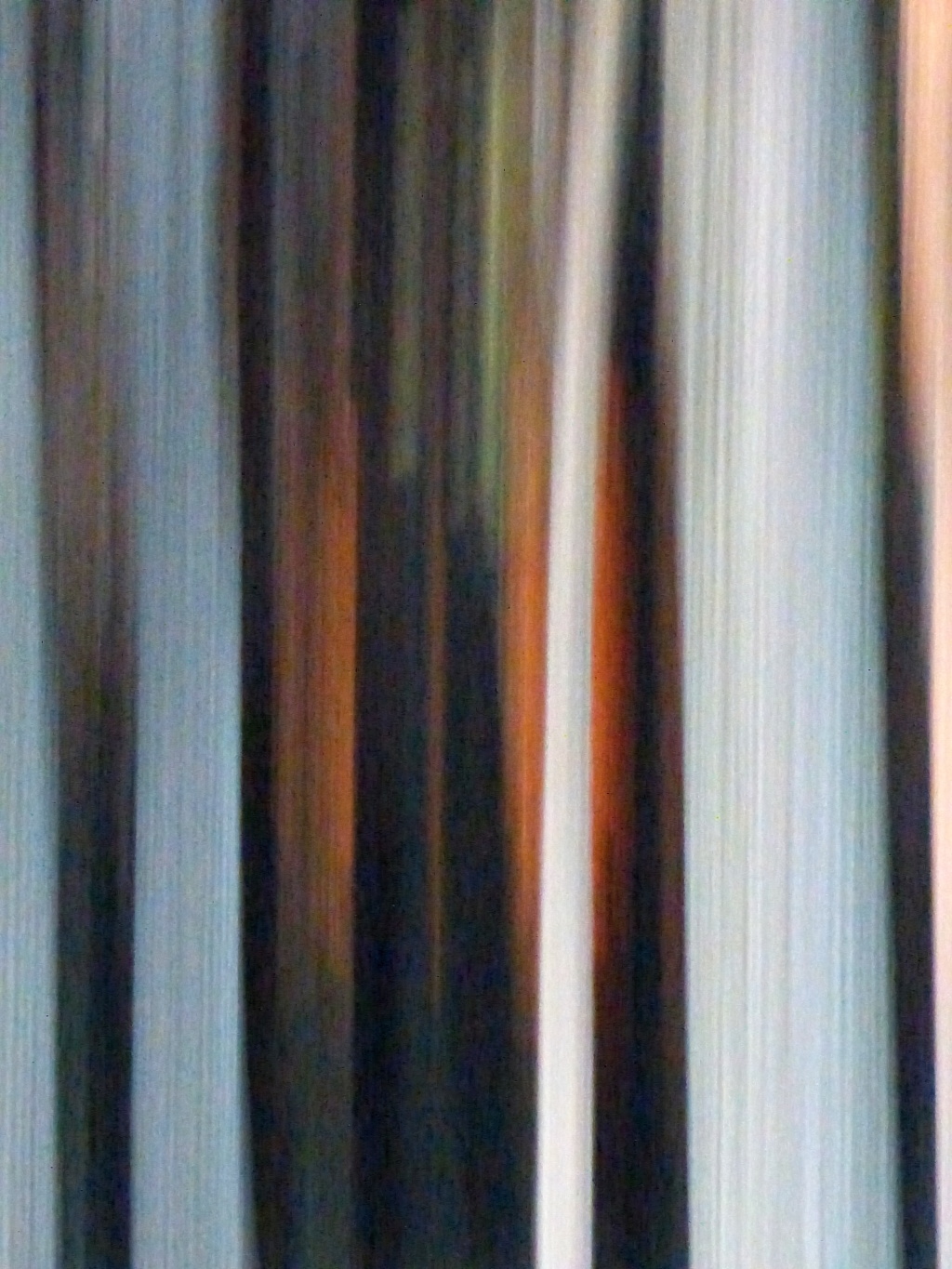 Anne Pharel, Sub Noctem 66