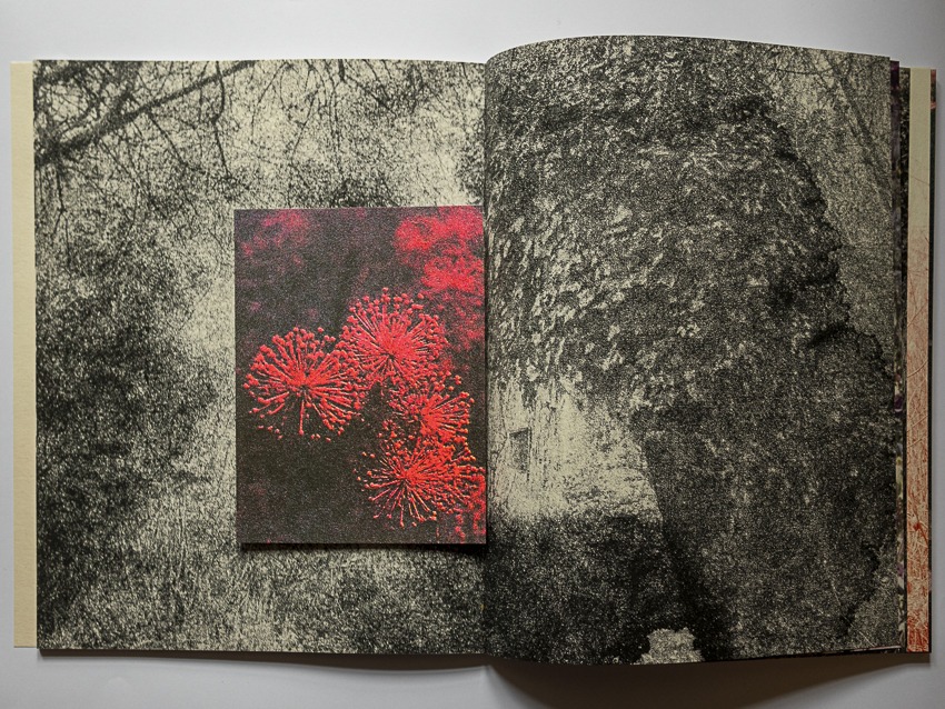 Clara Chichin et Sabatina Leccia, Le bruissement entre les murs 