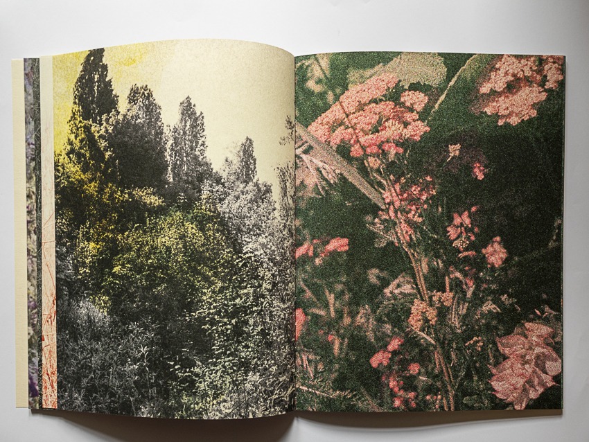 Clara Chichin et Sabatina Leccia, Le bruissement entre les murs 