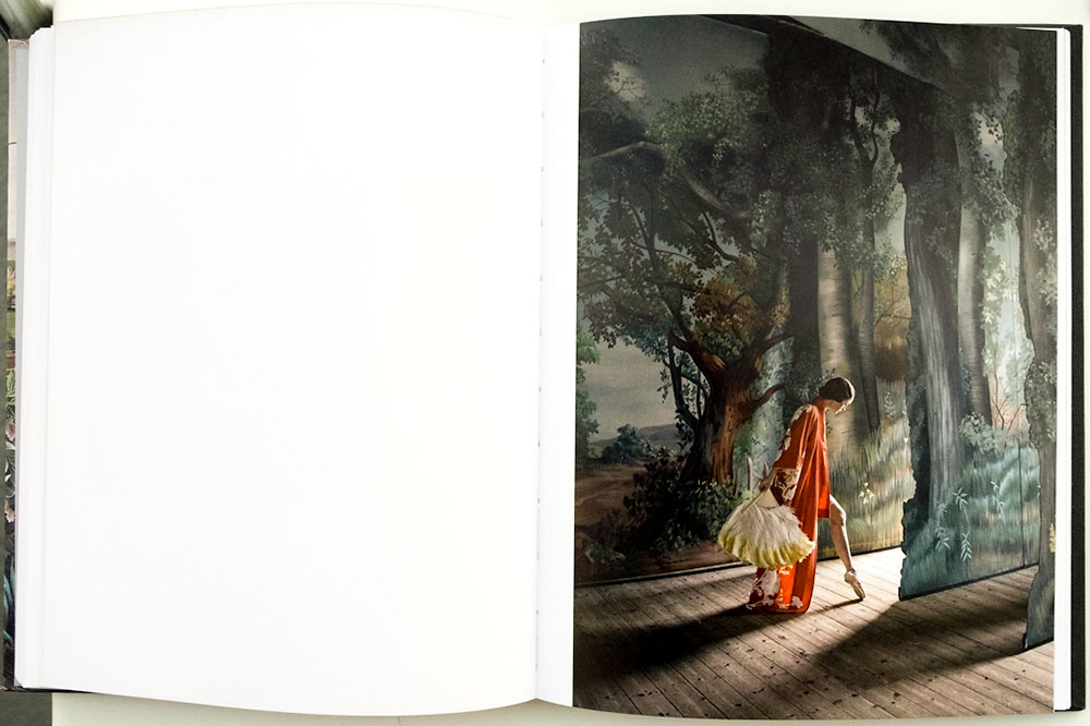 Anja Niemi, In Character