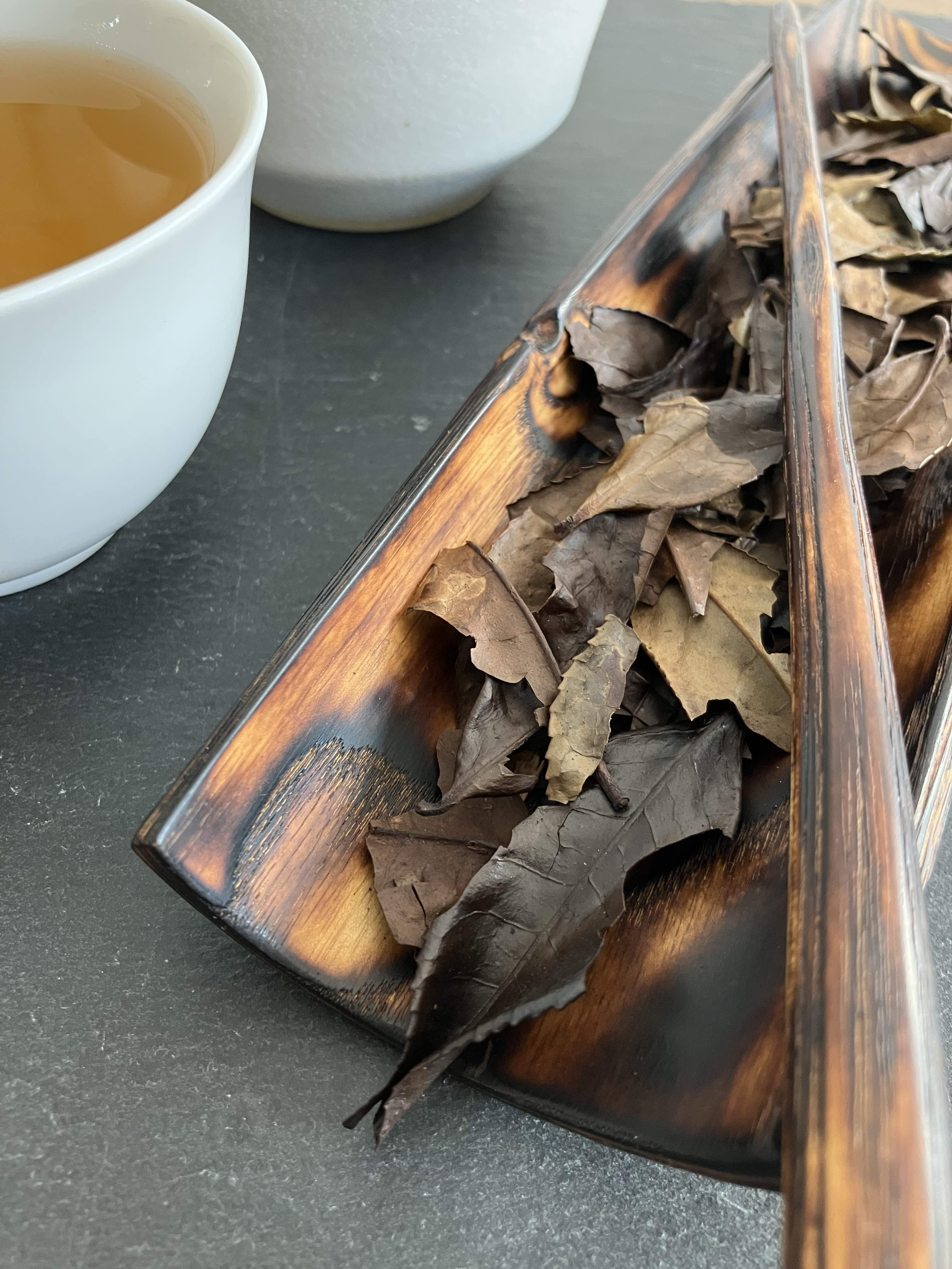 Hirabancha de Shiga, Asamiya, cultivar Yabukita