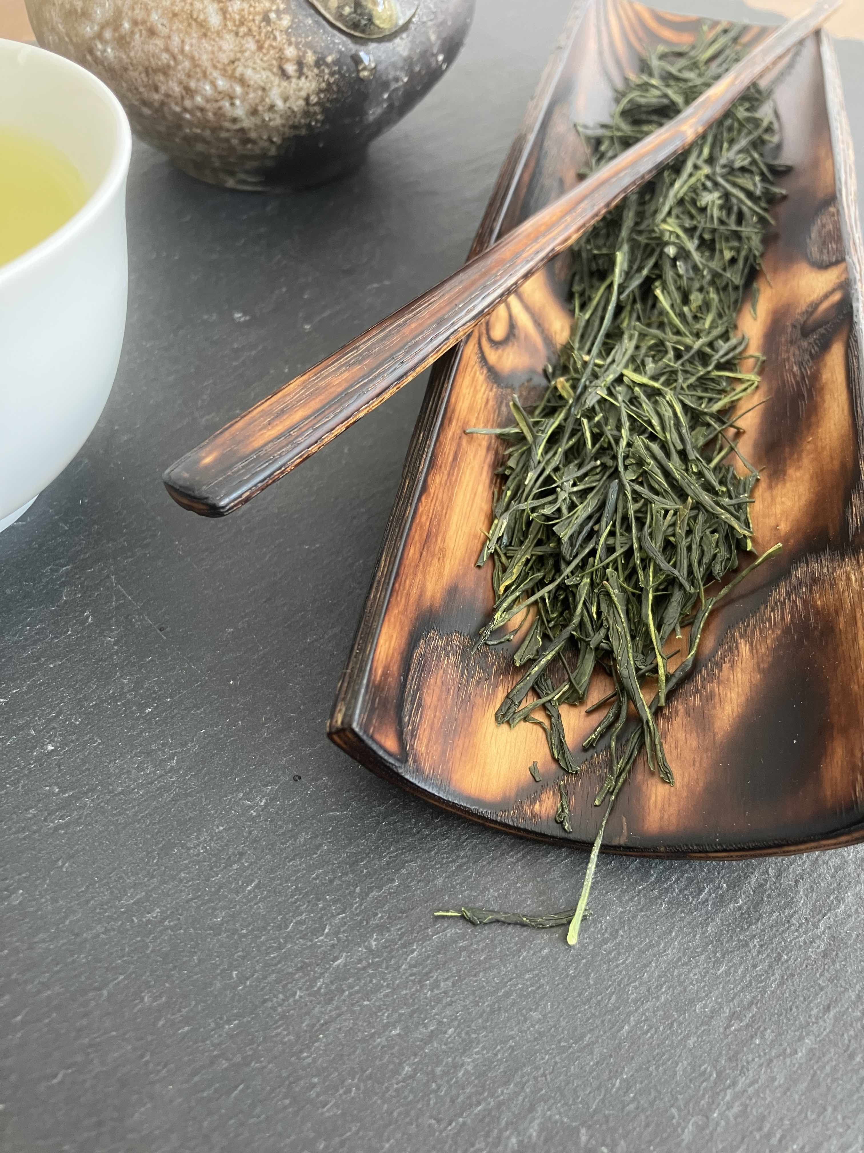 Sencha de Shizuoka, Honyama, cultivar Yabukita