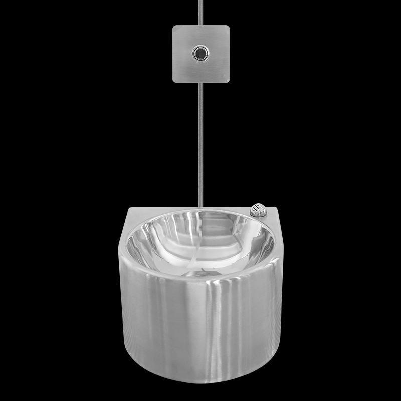 Stainless Steel Wall-Mounted Sink DE-L489-A