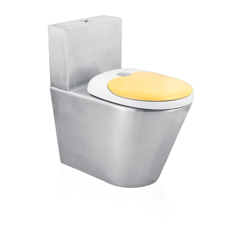 Metallic Toilet DE-T105
