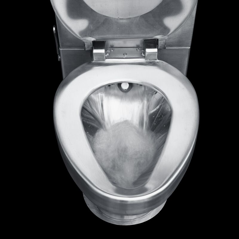 Stainless Steel Electric Toilet DE-T222