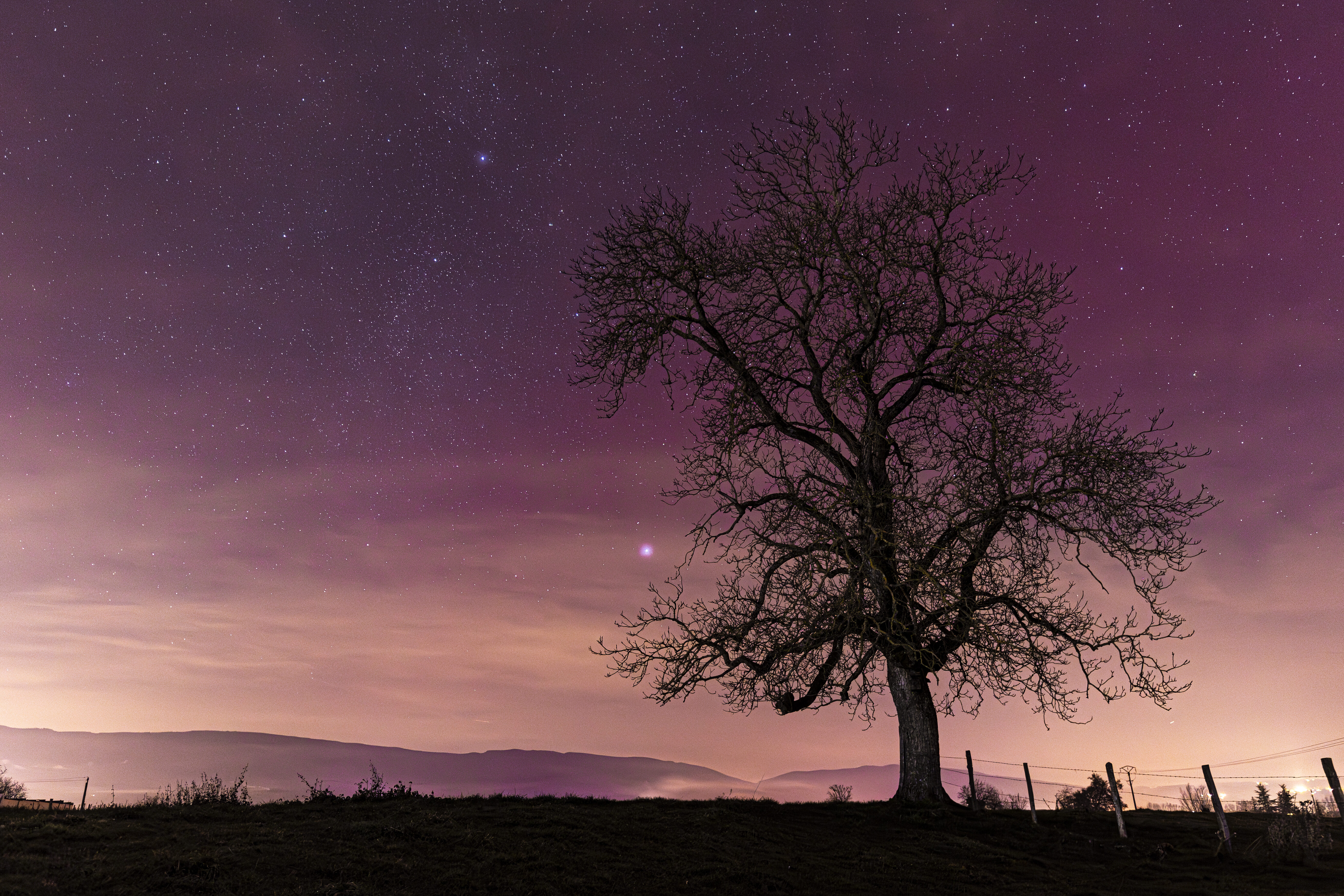 Aurora (dimensions à choisir)
