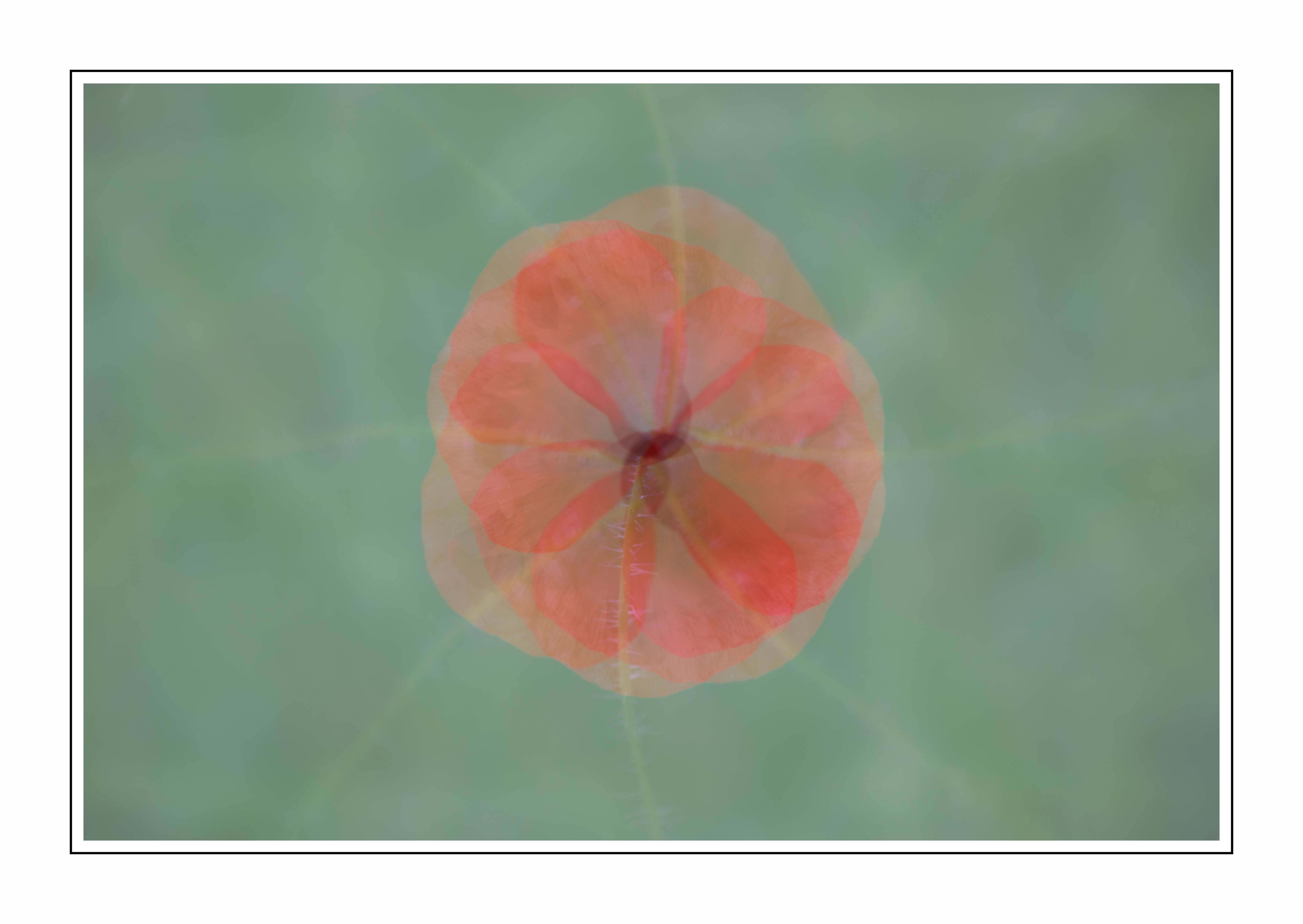 Carte cadeau