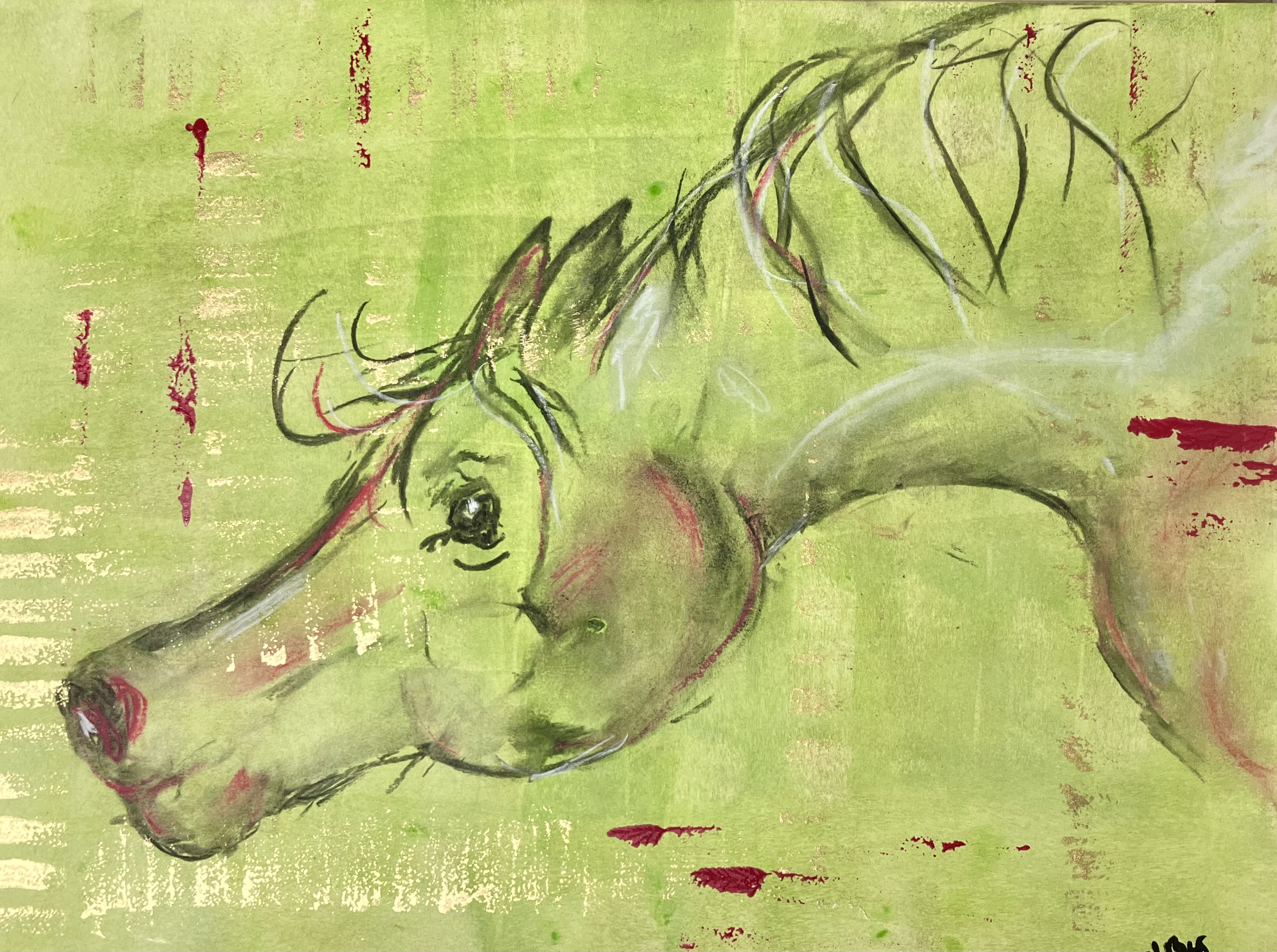 Equin n°12