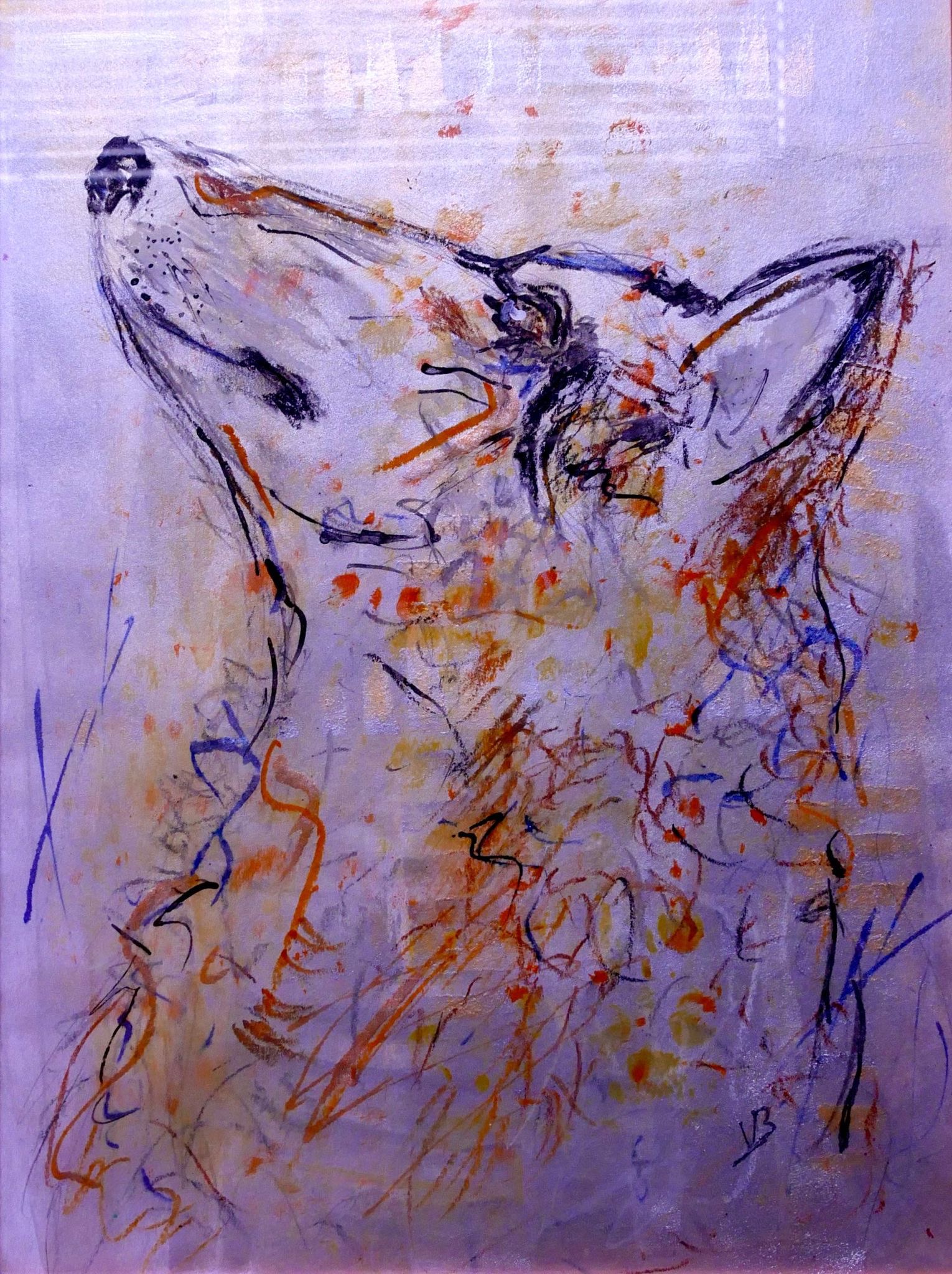 Lupus n° 2