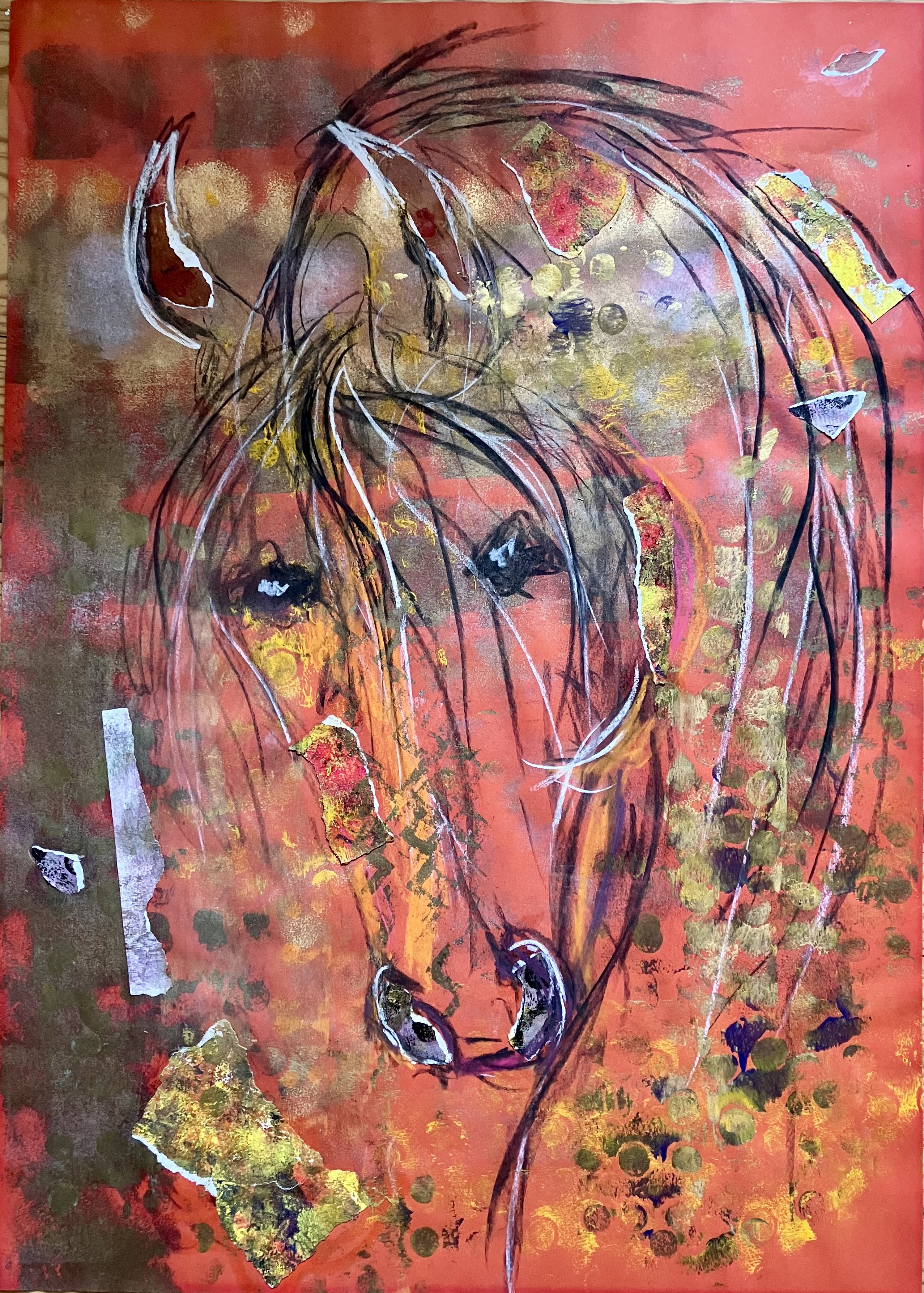 Equin n°6