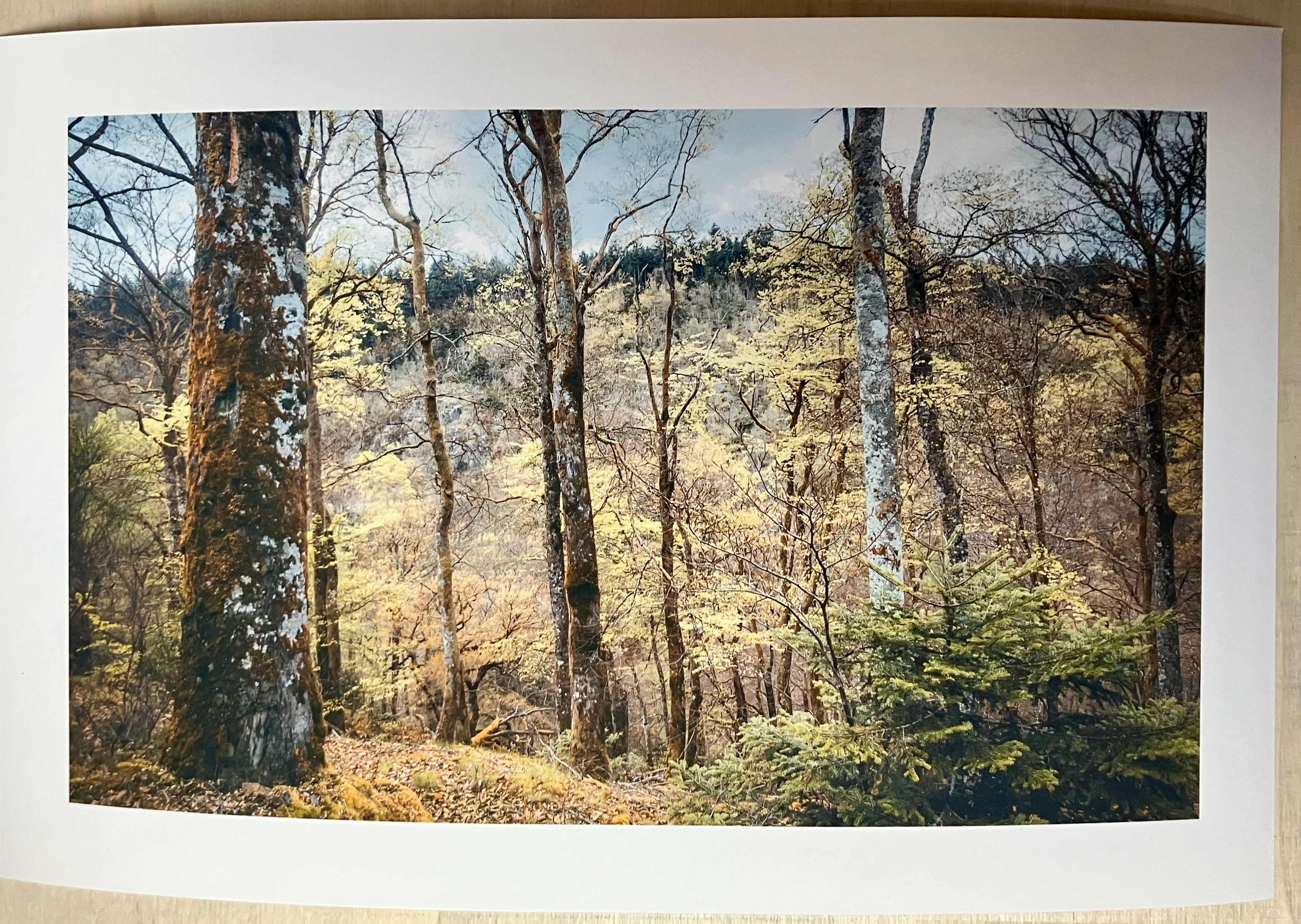 Dans le Morvan