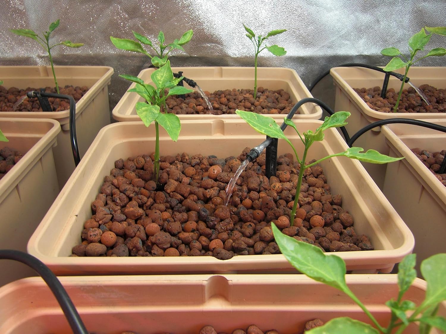 Flonatur, Arlita Saco para Drenaje de Macetas y Jardines, Arcilla Expandida para Plantas en Forma de Bolas, Mantiene la Tierra Húmeda, Ideal para el Drenaje de Suelo