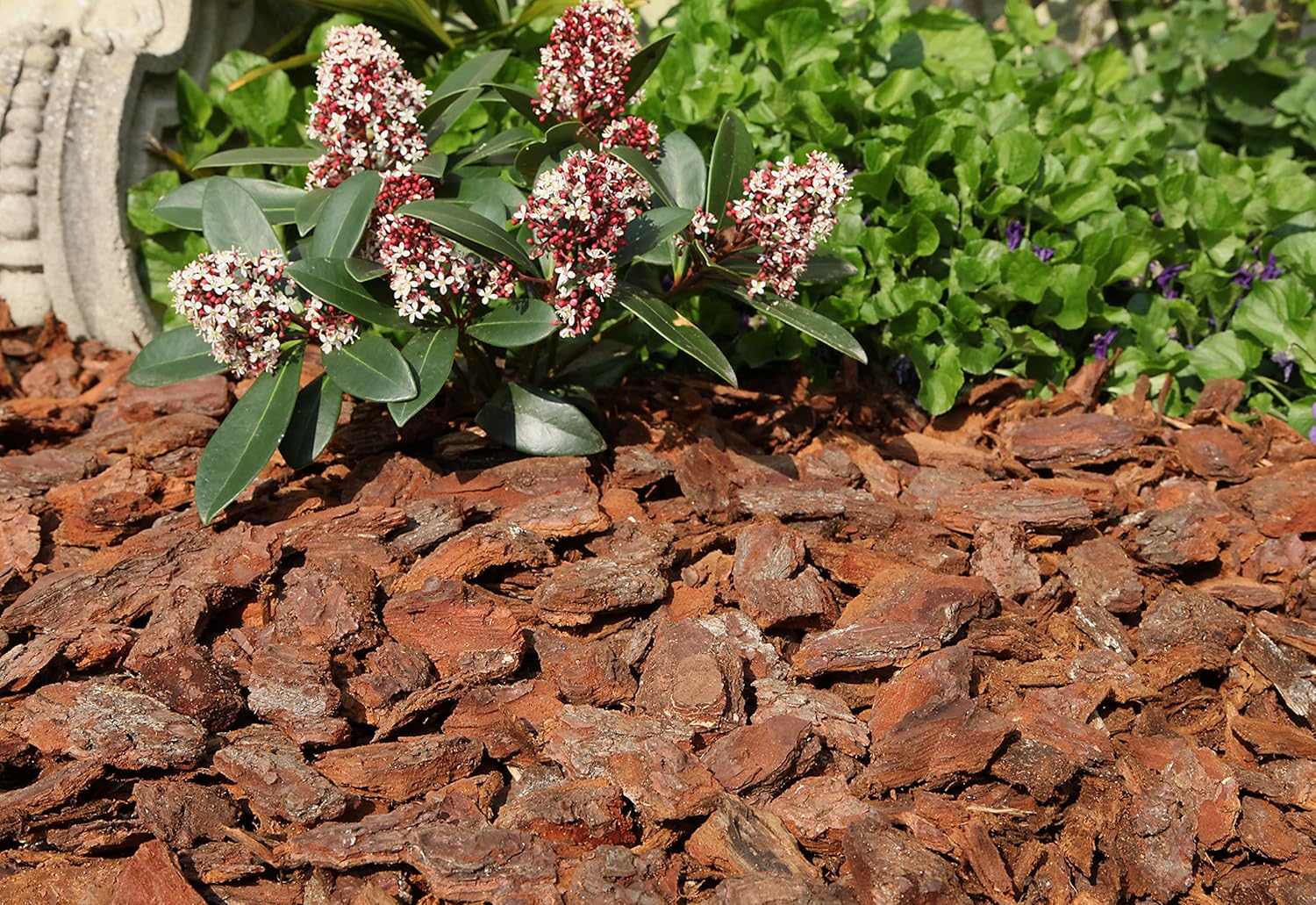 flonatur, Corteza de Pino Decorativa 70 litros, Ideal para Macetas, Arriates, Plantas y Zonas de Jardín, Protege de Malas Hierbas y Reduce la Erosión