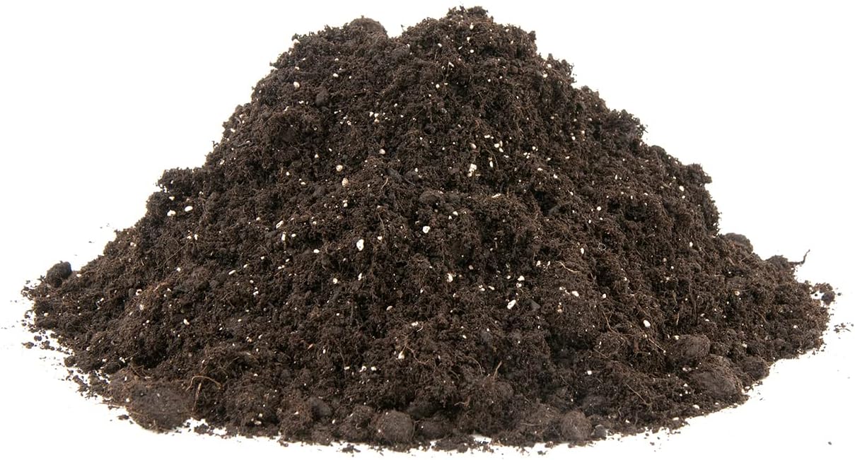 flonatur Fibra de Coco, Especial Plantas Canna, Interior o Exterior (20L)