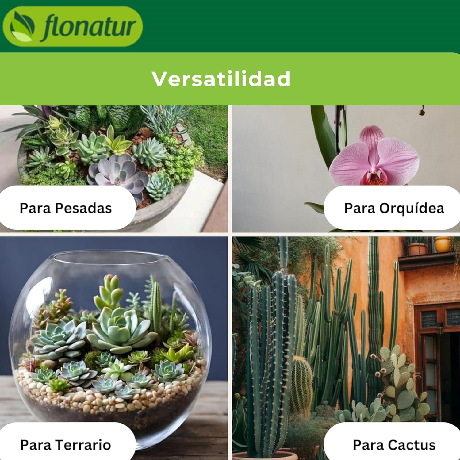 flonatur Piedras Volcánicas Premium para Jardinería y Decoración | 100% Naturales, Ecológicas, Versátiles Embellecer Tu Hogar y Jardín
