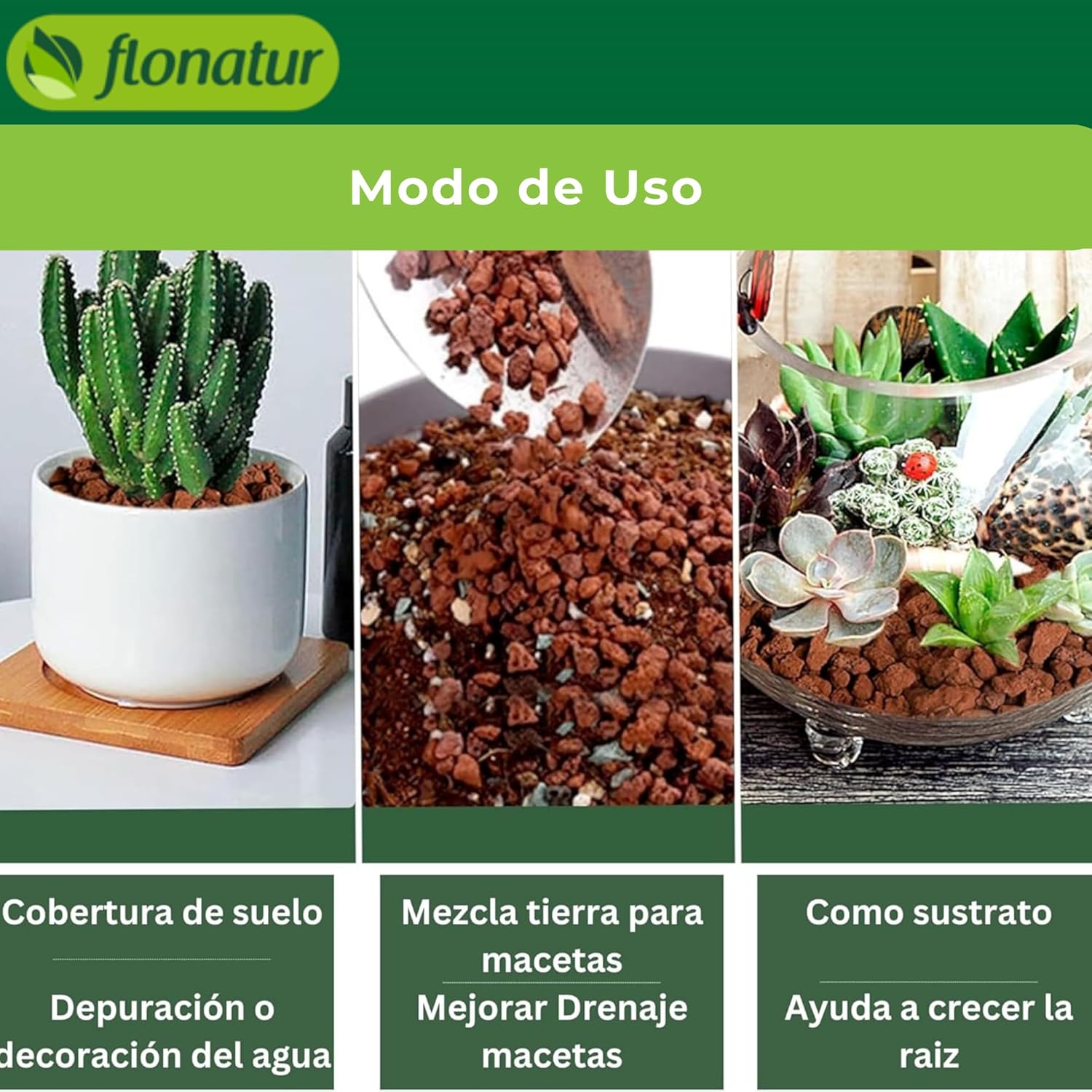 flonatur Piedras Volcánicas Premium para Jardinería y Decoración | 100% Naturales, Ecológicas, Versátiles Embellecer Tu Hogar y Jardín