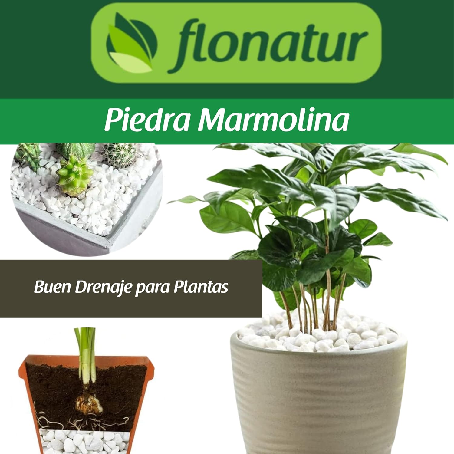 flonatur Piedras Blancas para Jardin y Terratios| Piedras Decorativas para Macetas | Ideal para Acuarios | Piedras Marmolina Blanca |Fácil Aplicación y Múltiples Usos