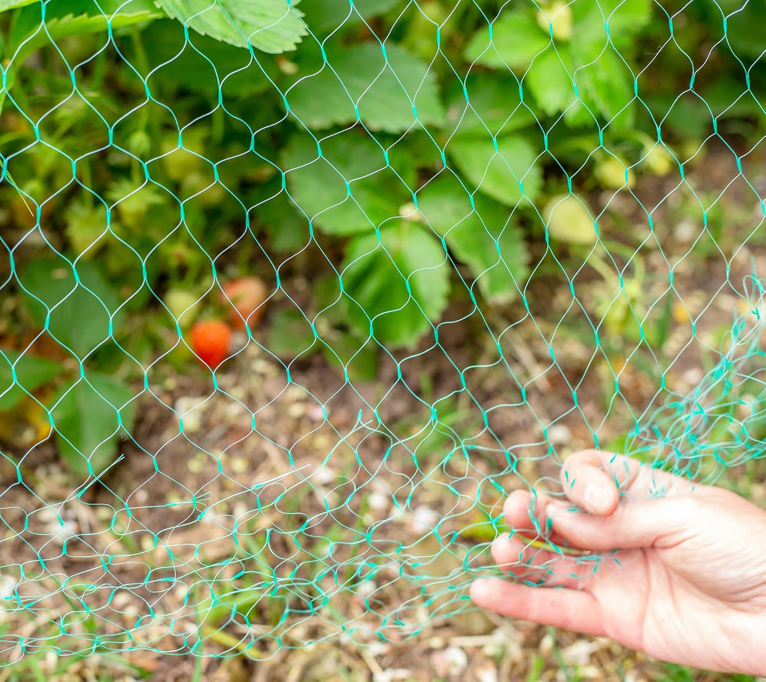 Flonatur, Malla Antipájaros para Jardines y Huertos. Red Verde de Protección para Cultivos, Frutales y Terrazas, Malla para Evitar Aves, Duradera y Resistente para Uso en Exteriores