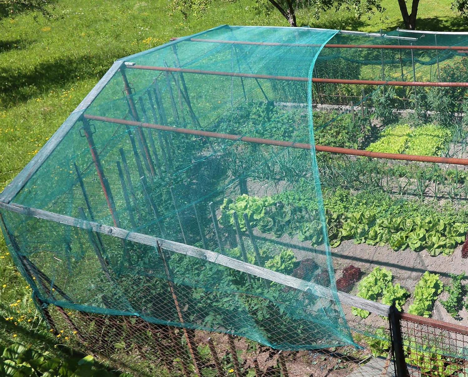 Flonatur, Malla Antipájaros para Jardines y Huertos. Red Verde de Protección para Cultivos, Frutales y Terrazas, Malla para Evitar Aves, Duradera y Resistente para Uso en Exteriores