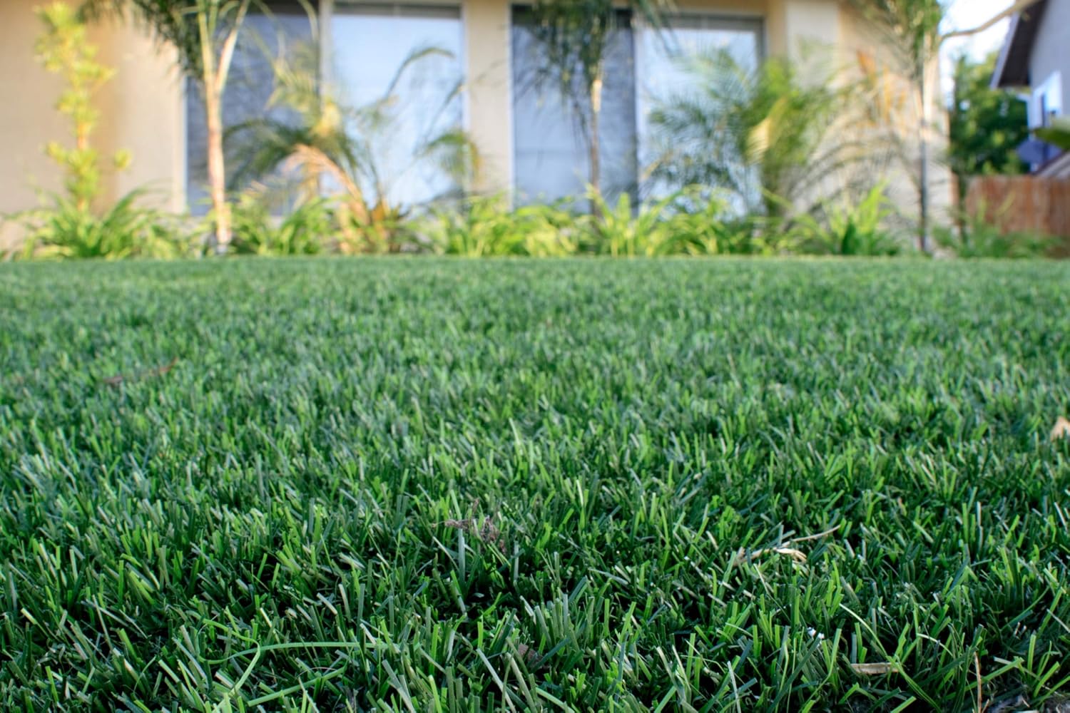 Césped Artificial TOKIO 40 mm Natural y Realista | Suave y Denso | Resistente UV | Hilo en Forma de C | Reciclable y No Tóxico | Alta Densidad 18.900 Puntadas | Drenaje 800 l/h/m²