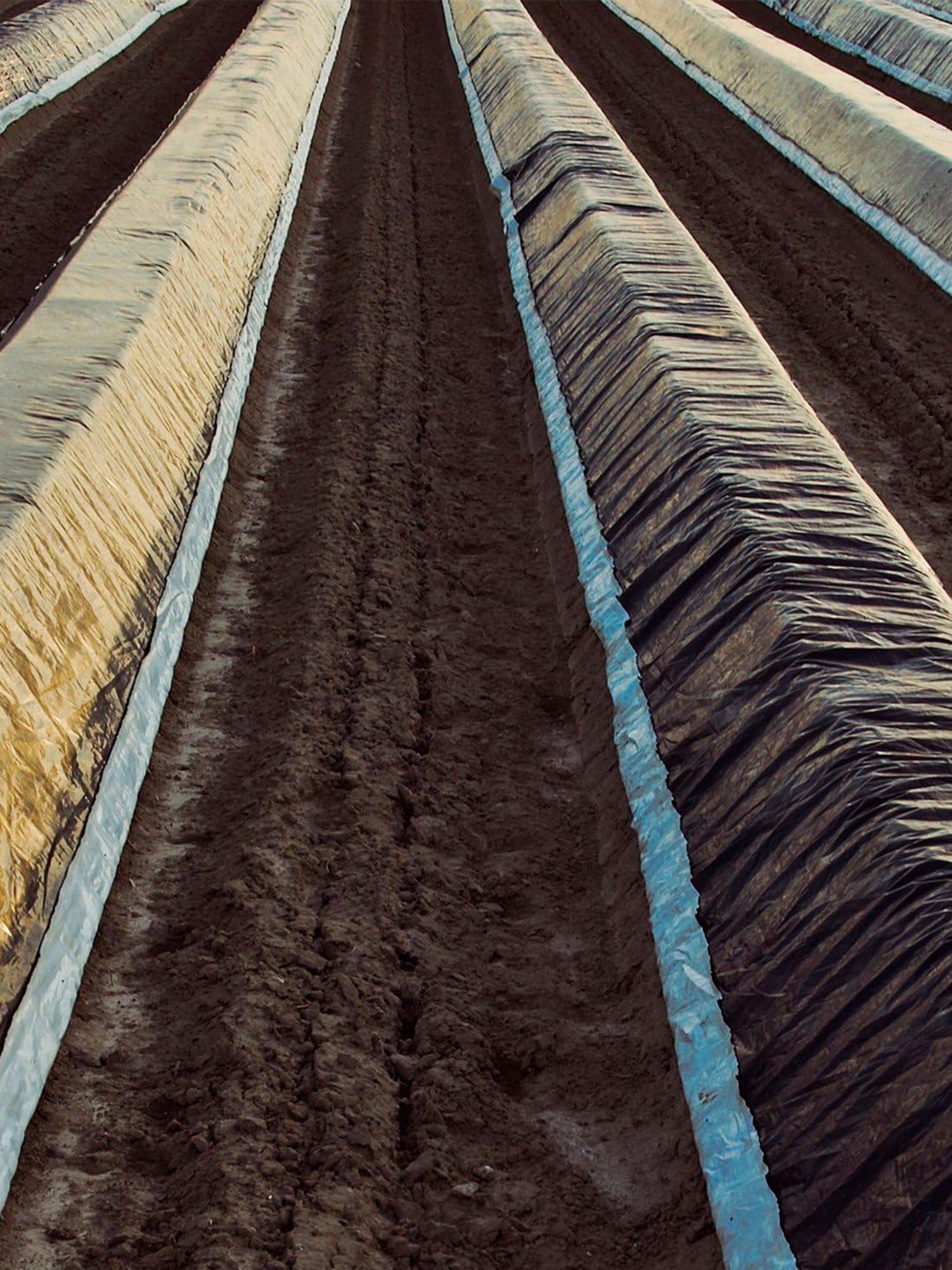 Plástico para la Agricultura y Obra - Rollos de Plástico Protector Cubretodo | 400 Galgas - 4 x 50 m (200 m²) Thayba
