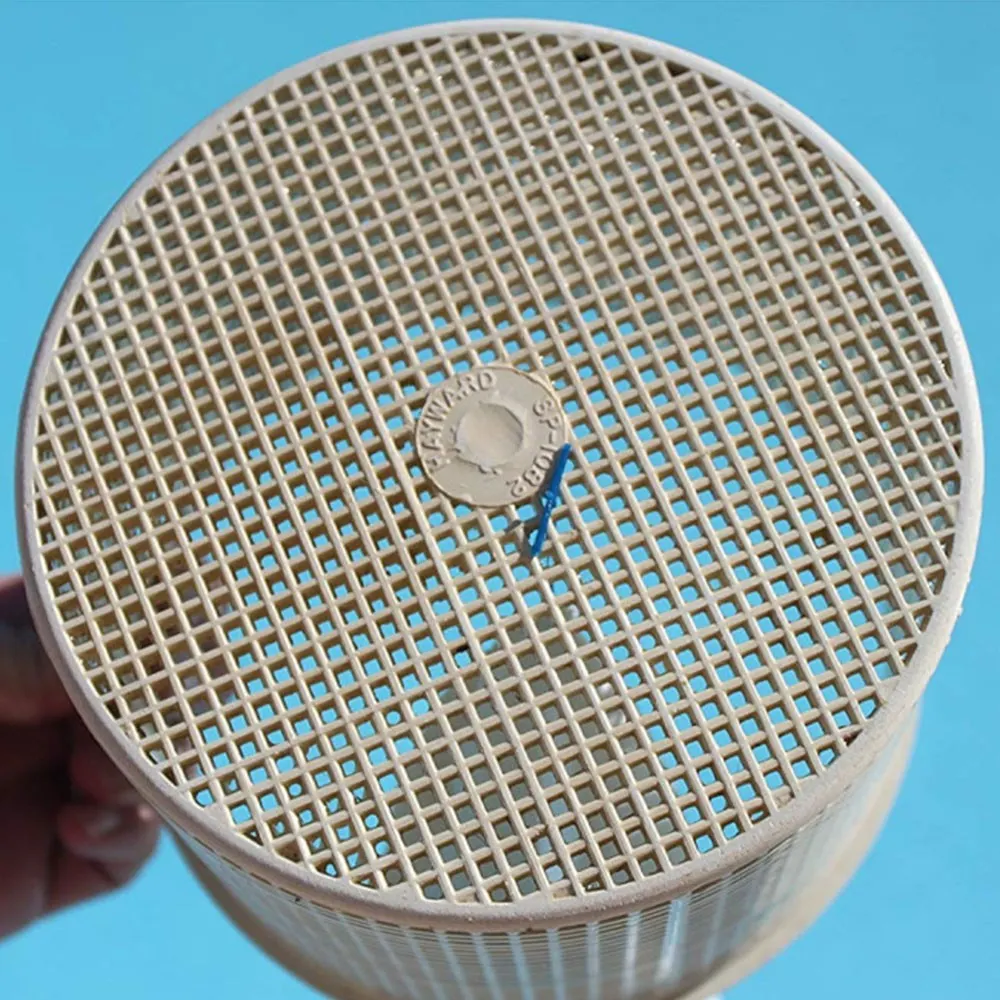 Prefiltros Universales Net Skim para Piscinas, Filtros deshechables de Piscina, Mantenimiento del Filtro y preserva la Bomba 12u Thayba