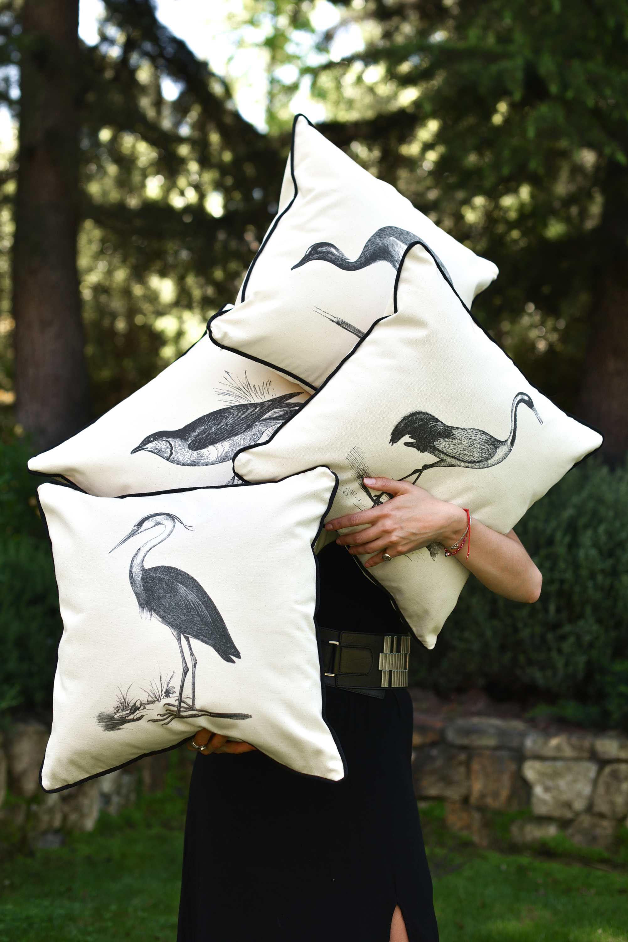 Fundas Pajaros 