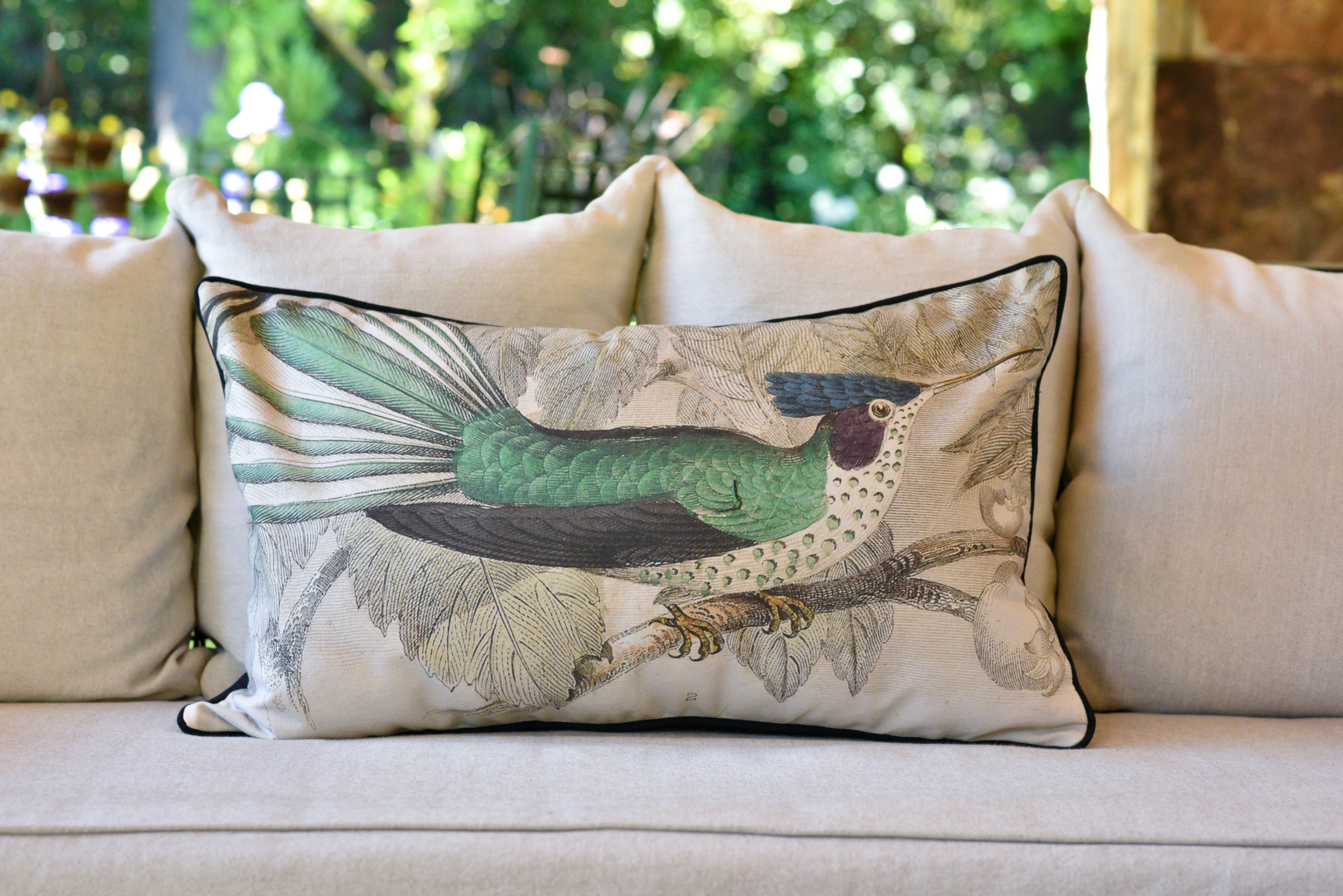 Funda Colibrí verde