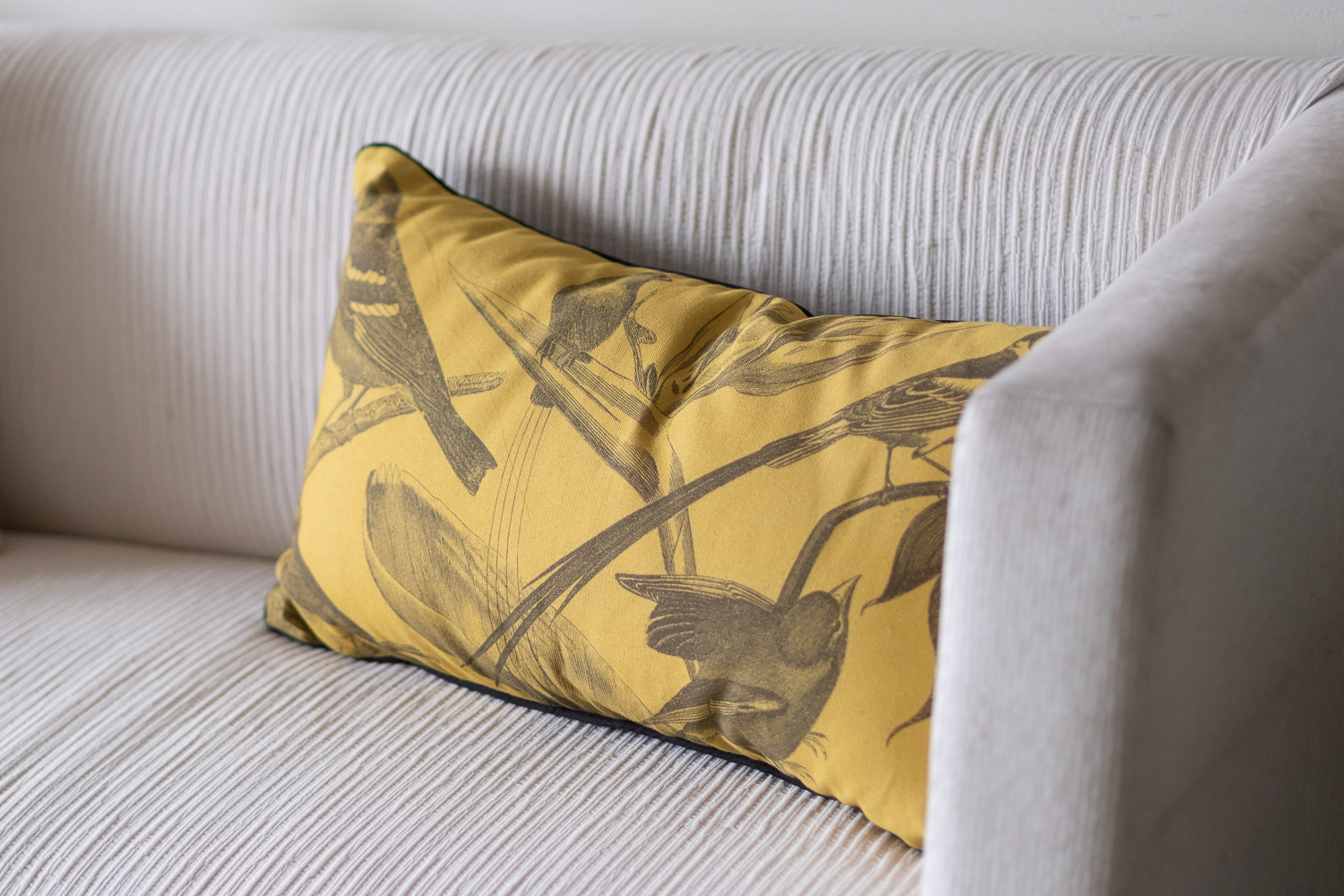 Funda Aves posadas