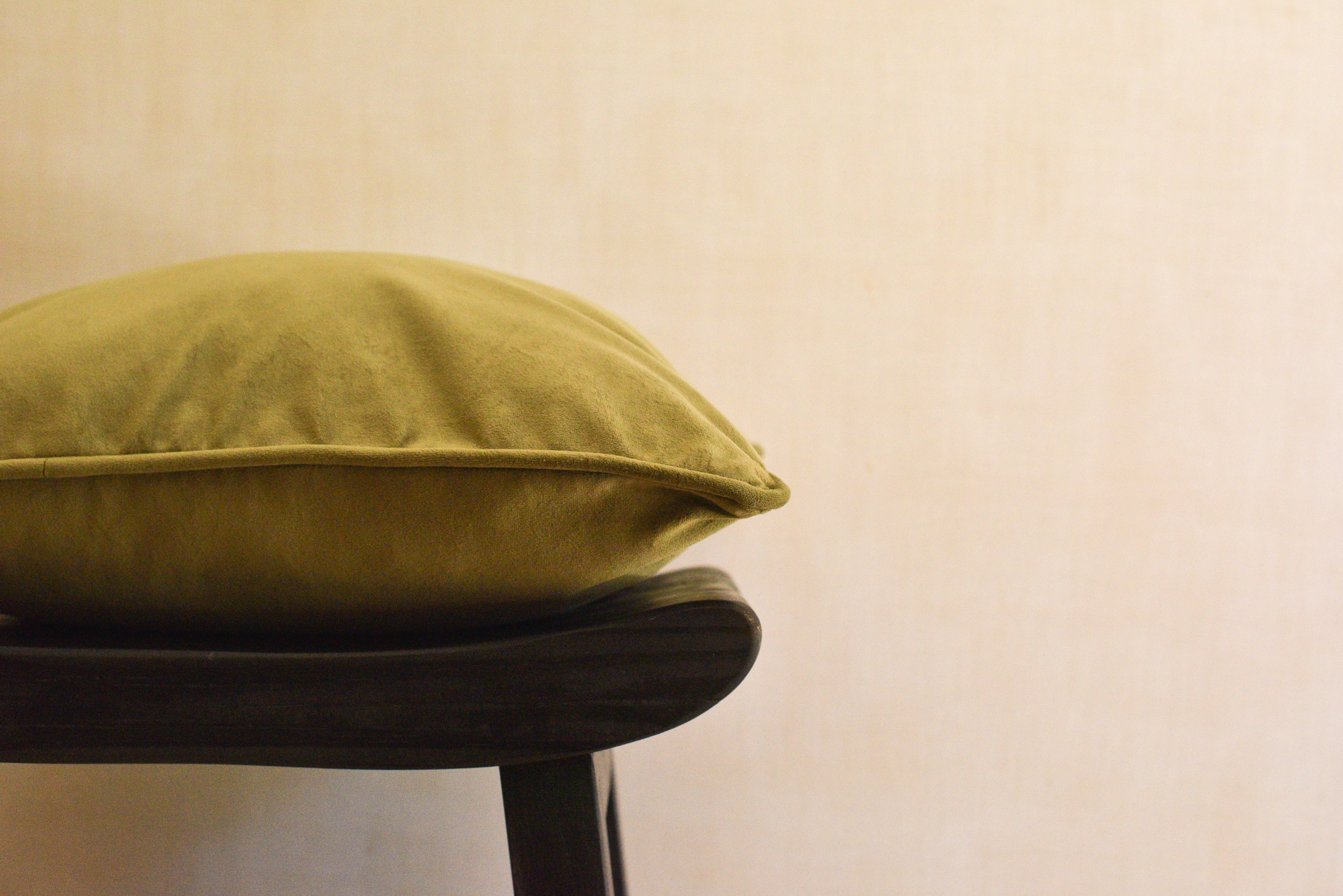 Funda Terciopelo Verde Musgo