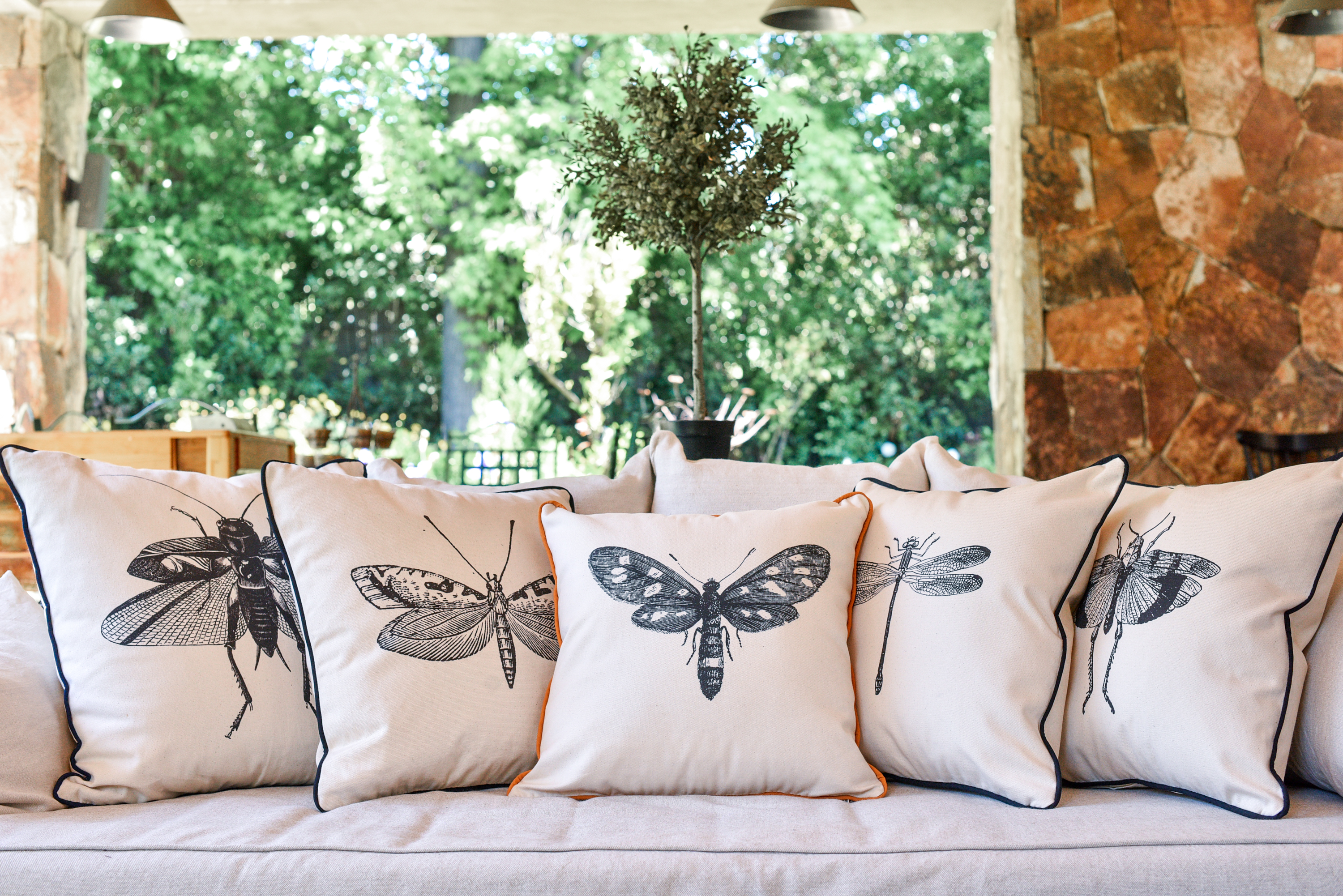 Fundas Insectos