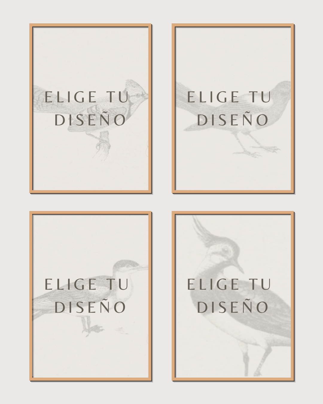 Set 4 Cuadros Mono