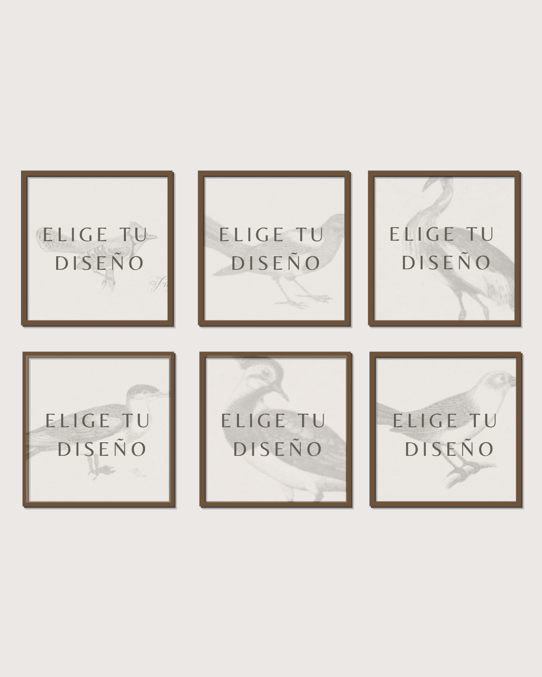 Set 6 Cuadros Mix Diseño Mono & Print