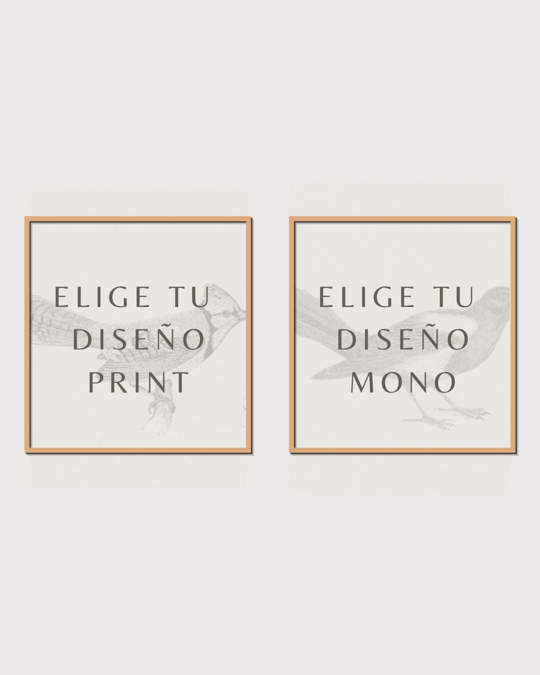 Set 2 Cuadros Mix Diseño Mono & Print