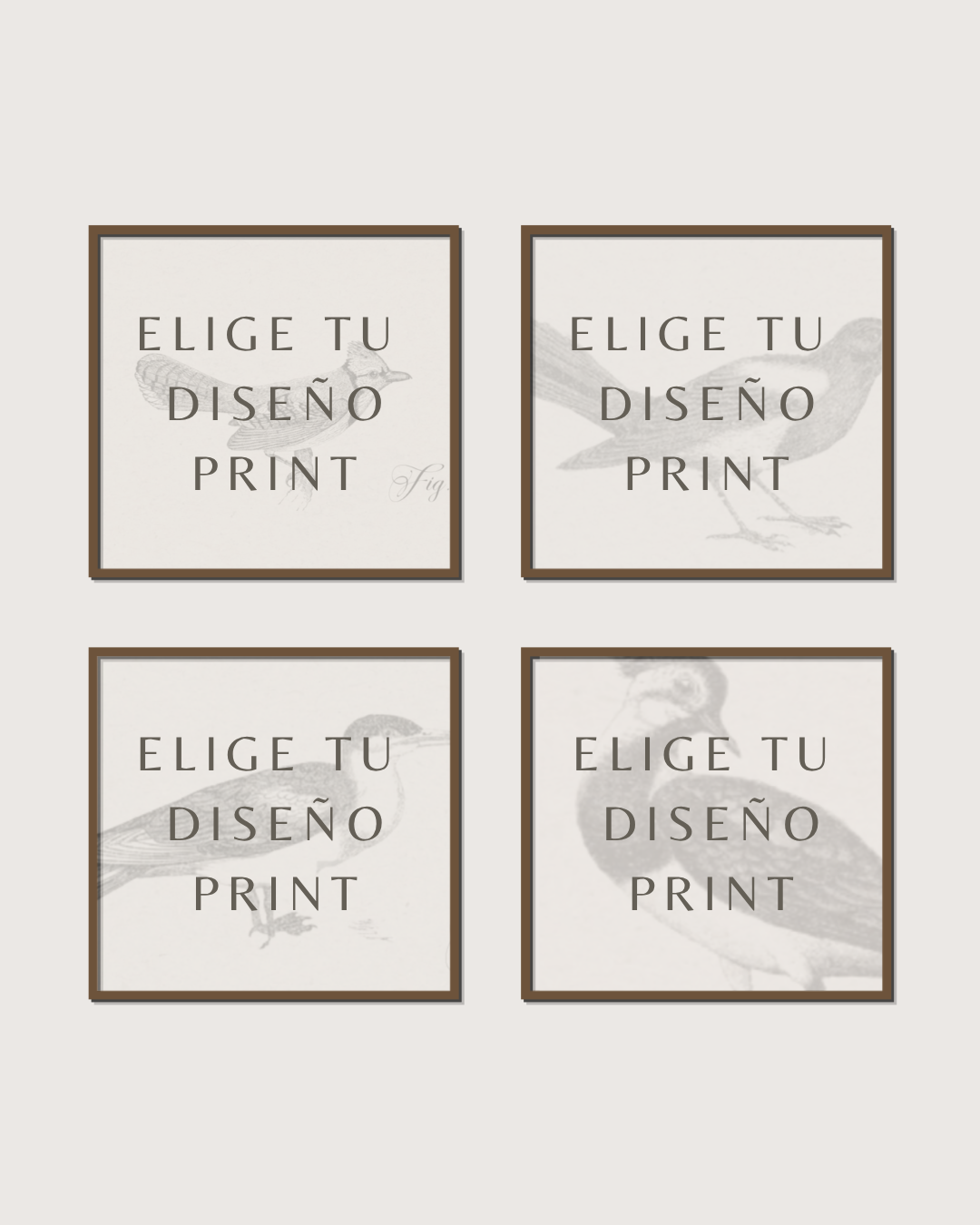 Set 4 Cuadros Diseño Print