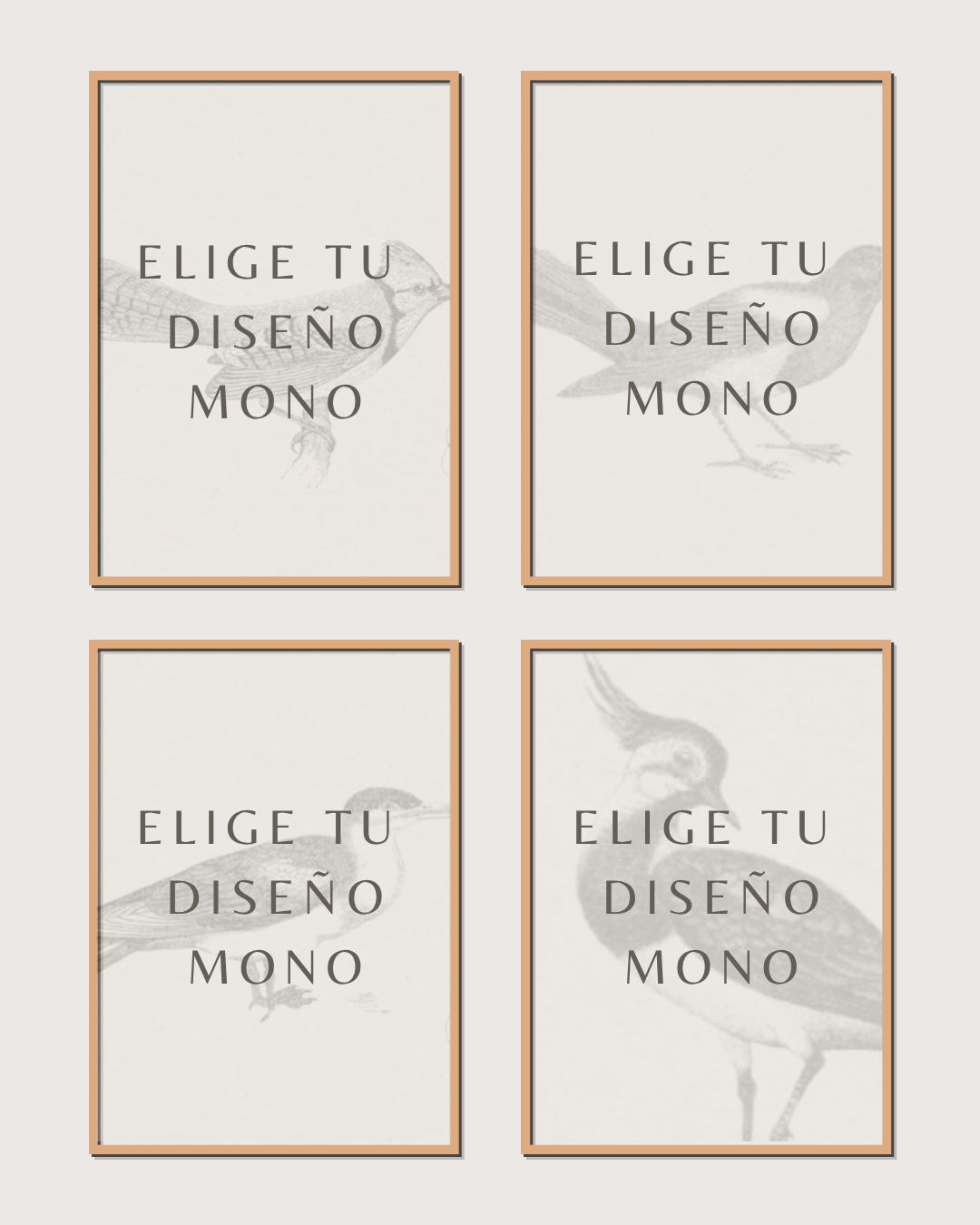 Set 4 Cuadros Diseño Mono