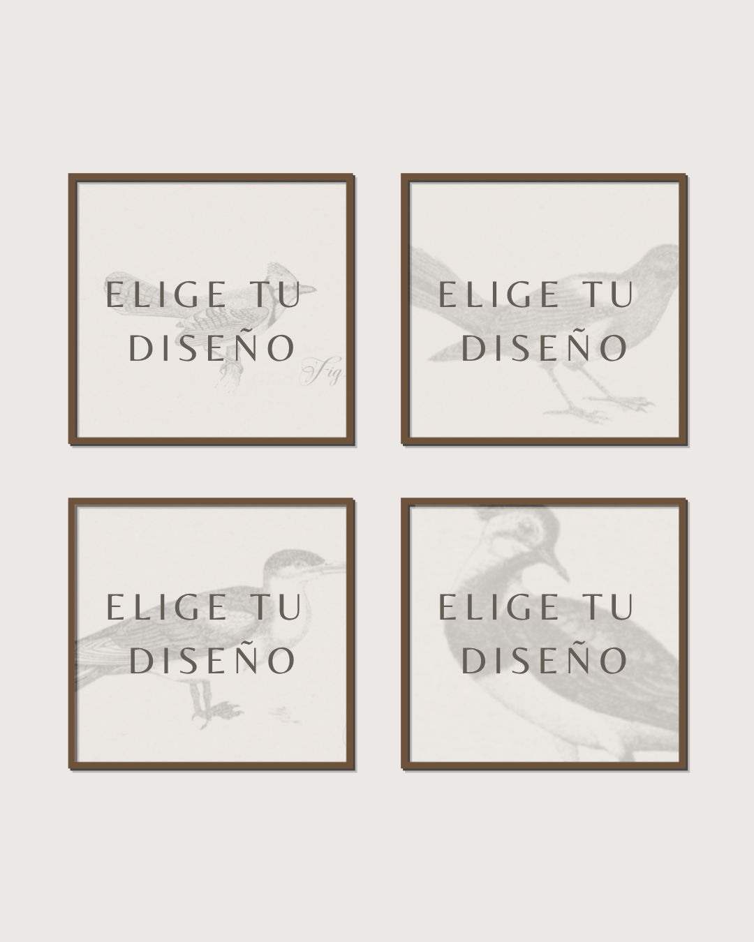 Set 4 Cuadros Mix Diseño Mono & Print