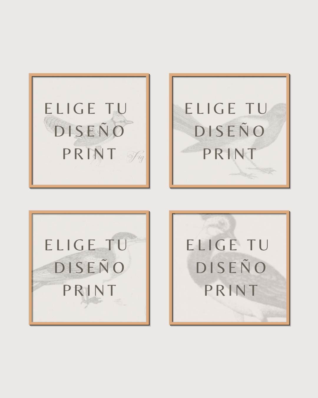 Set 4 Cuadros Diseño Print