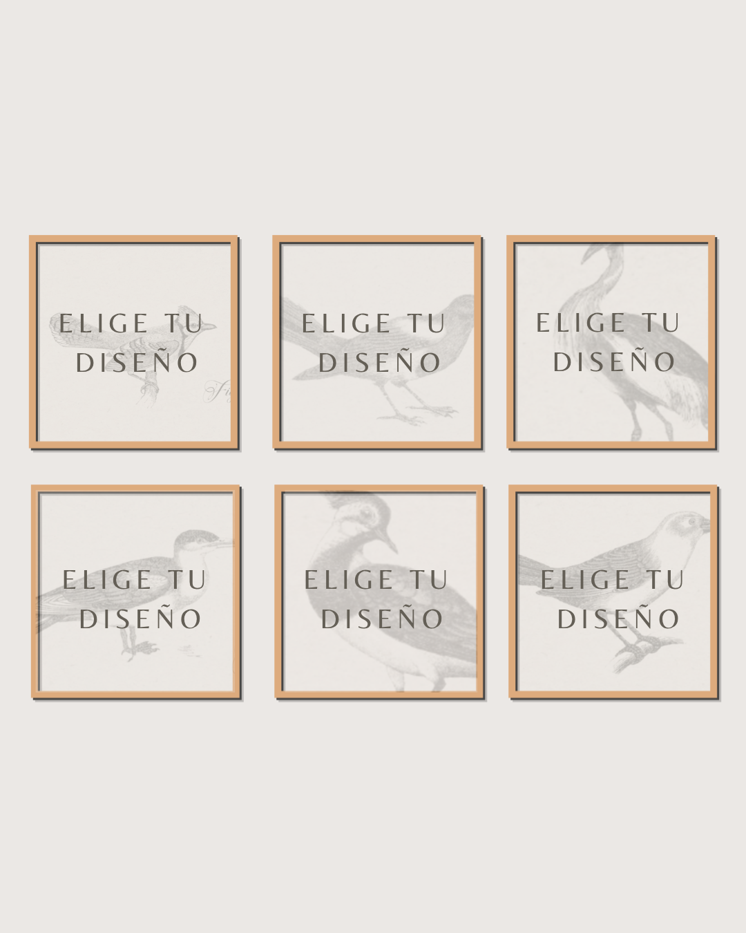 Set 6 Cuadros Mix Diseño Mono & Print