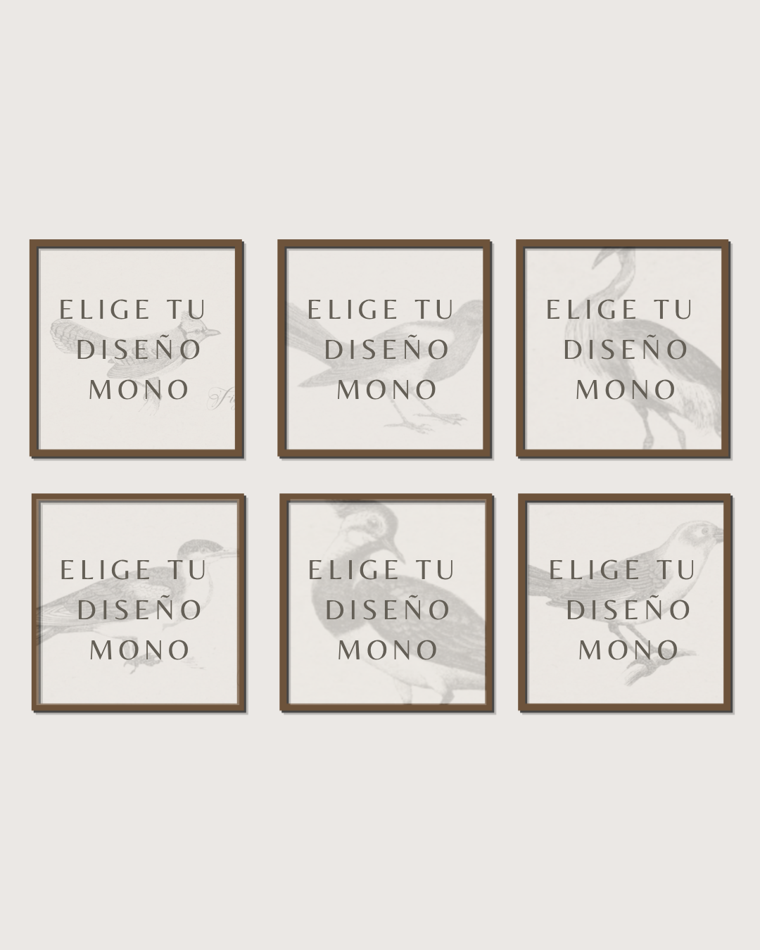 Set 6 Cuadros Diseño Mono