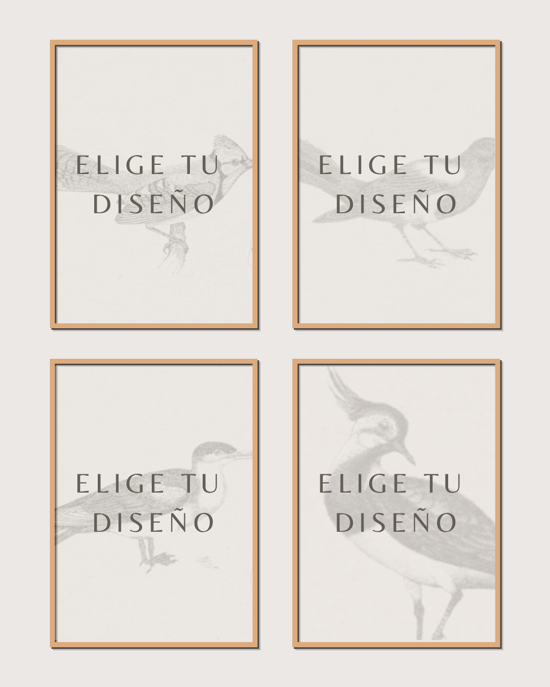 Set 4 Cuadros Mix Diseño Mono & Print