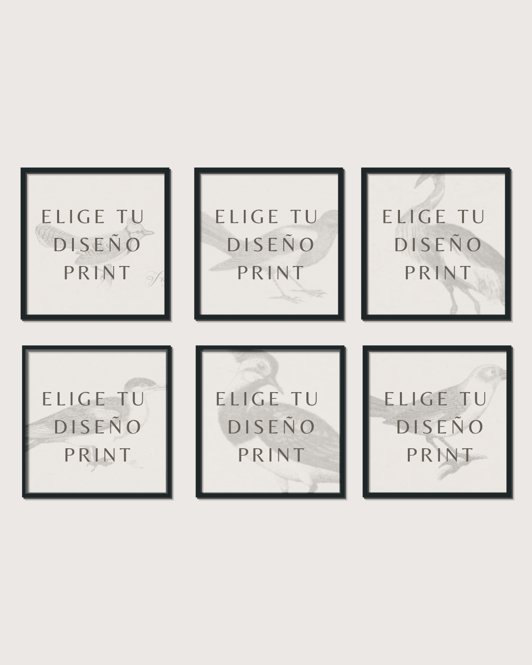 Set 6 Cuadros Diseño Print